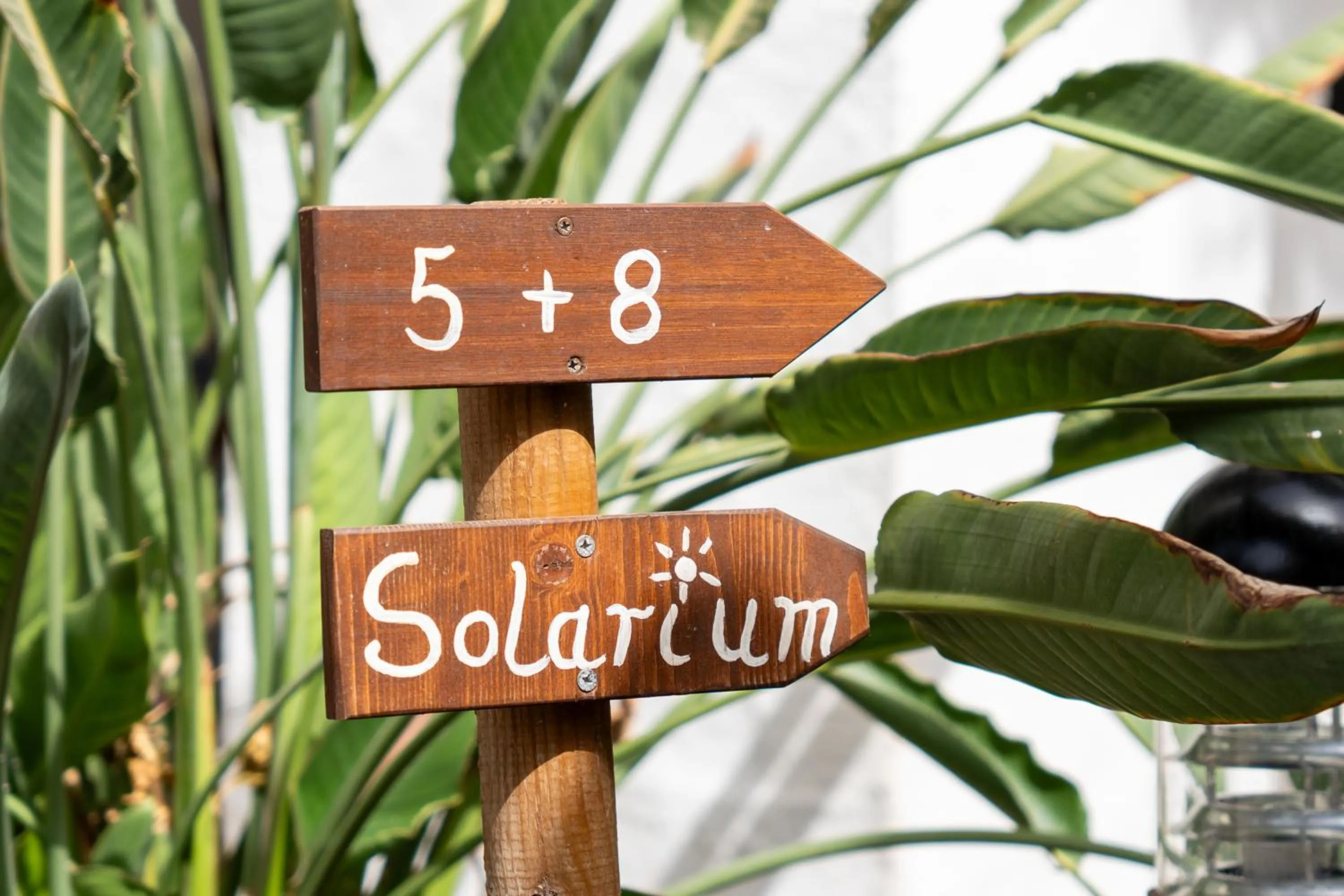 Property building in Alsol El Chaparral