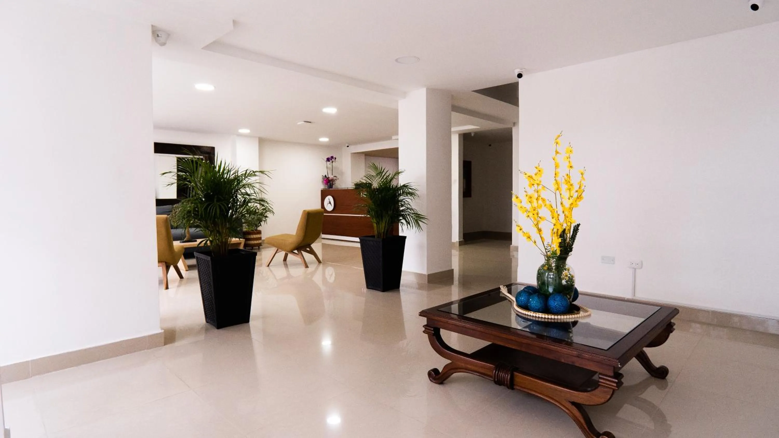 Living room in Hotel Arisha Cali