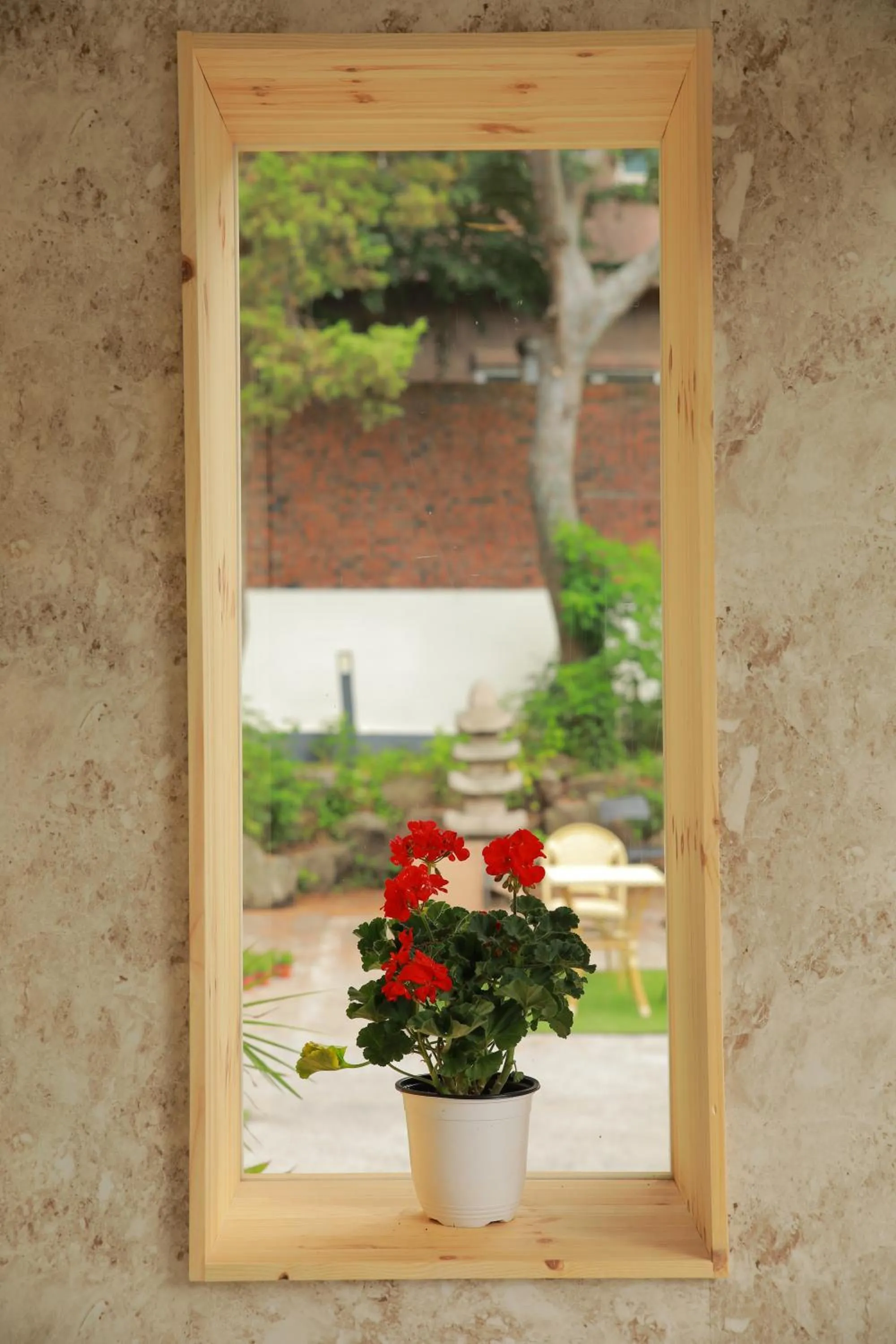 Garden view in Slow Vibe Myeongdong