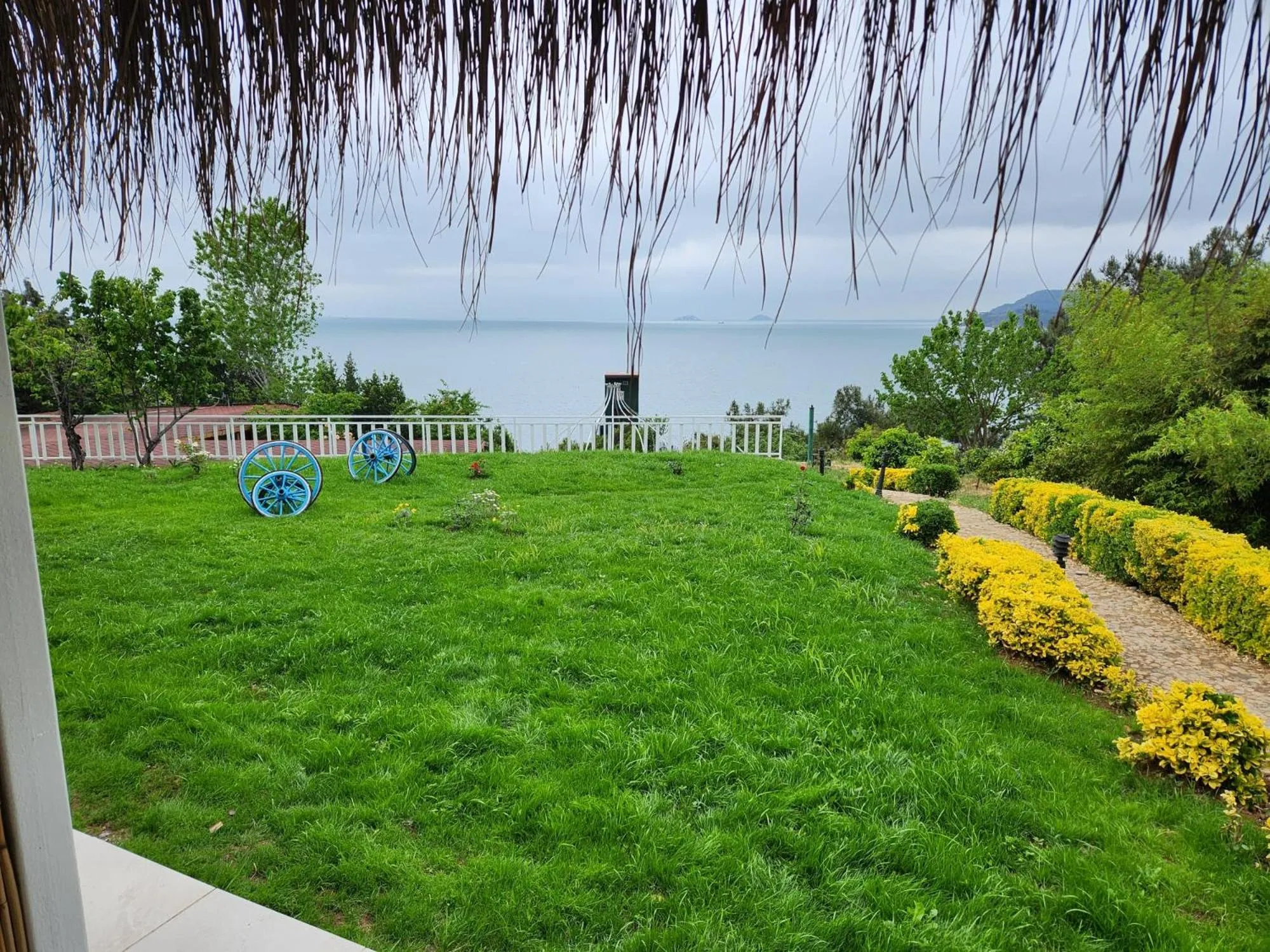 Natural landscape in The Roof Ada