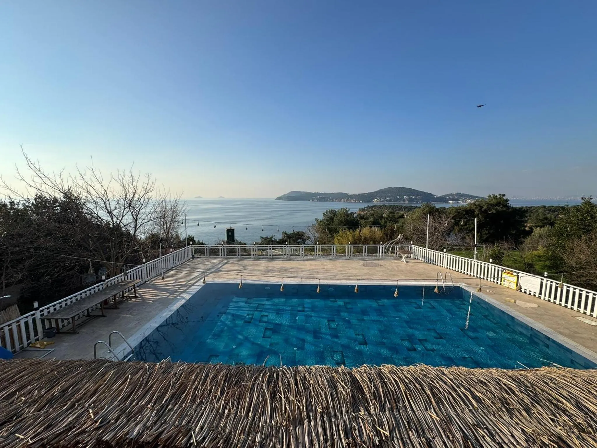 Pool view in The Roof Ada