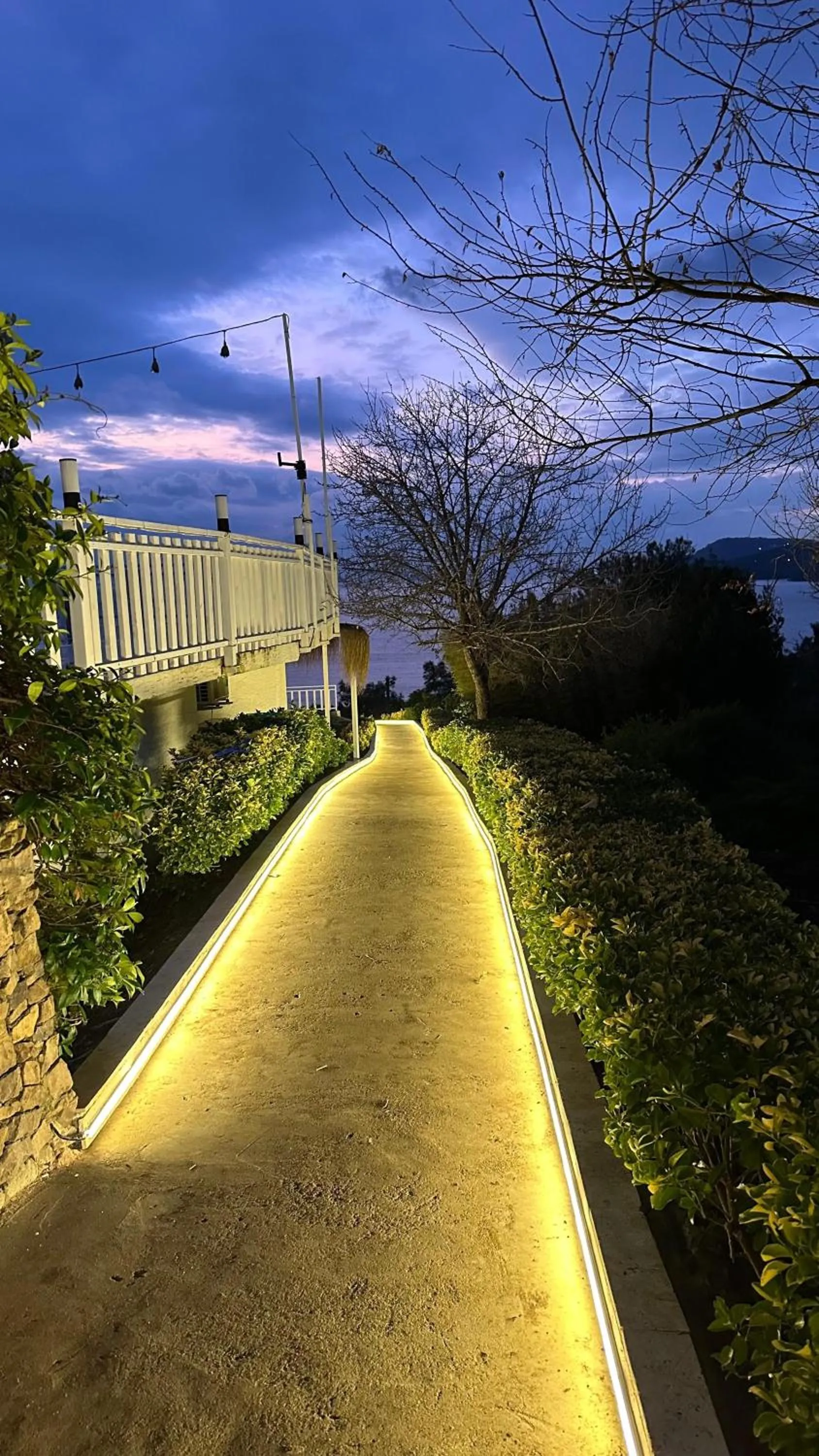 Night in The Roof Ada