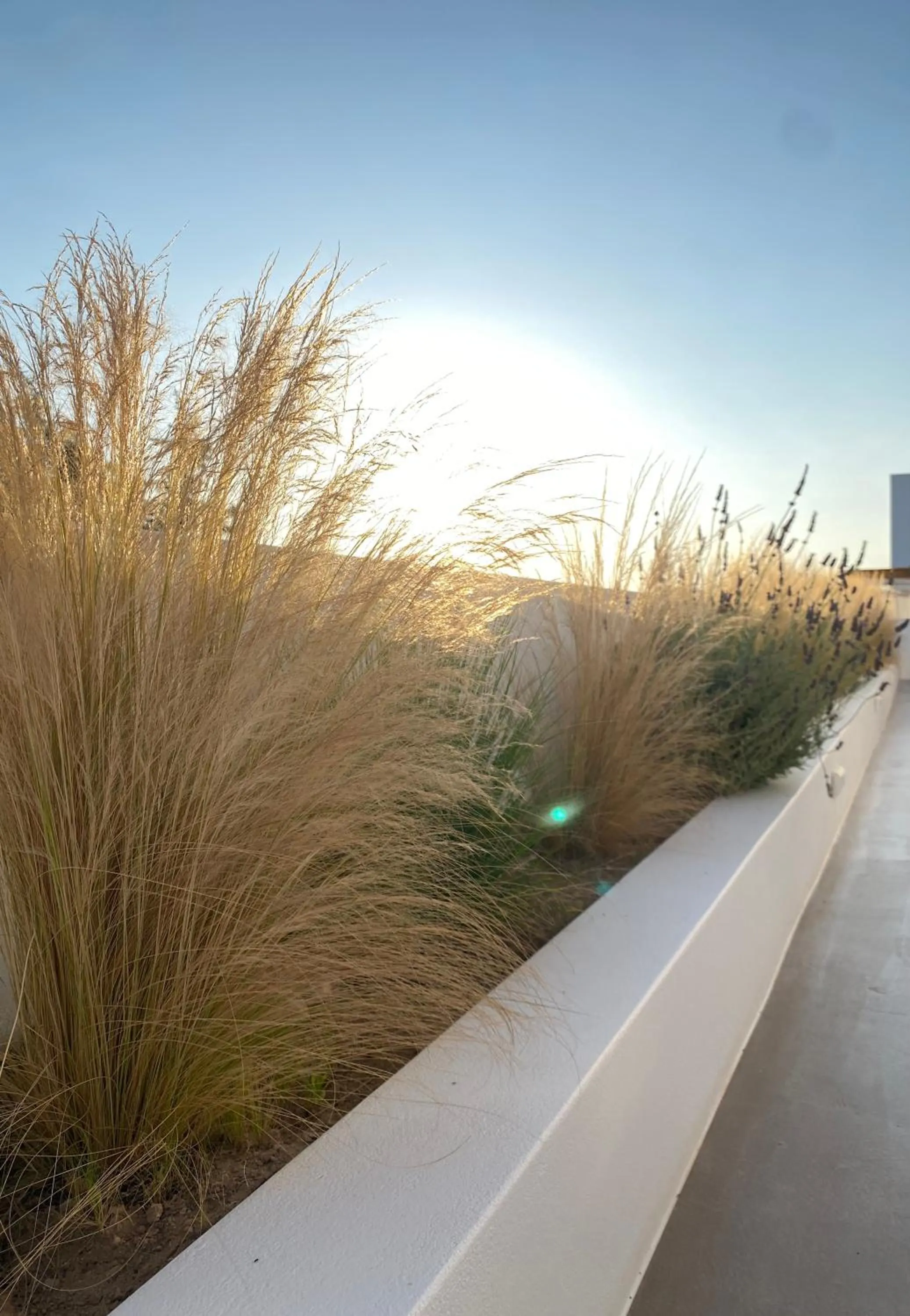 Nove Milos Luxury by Estia