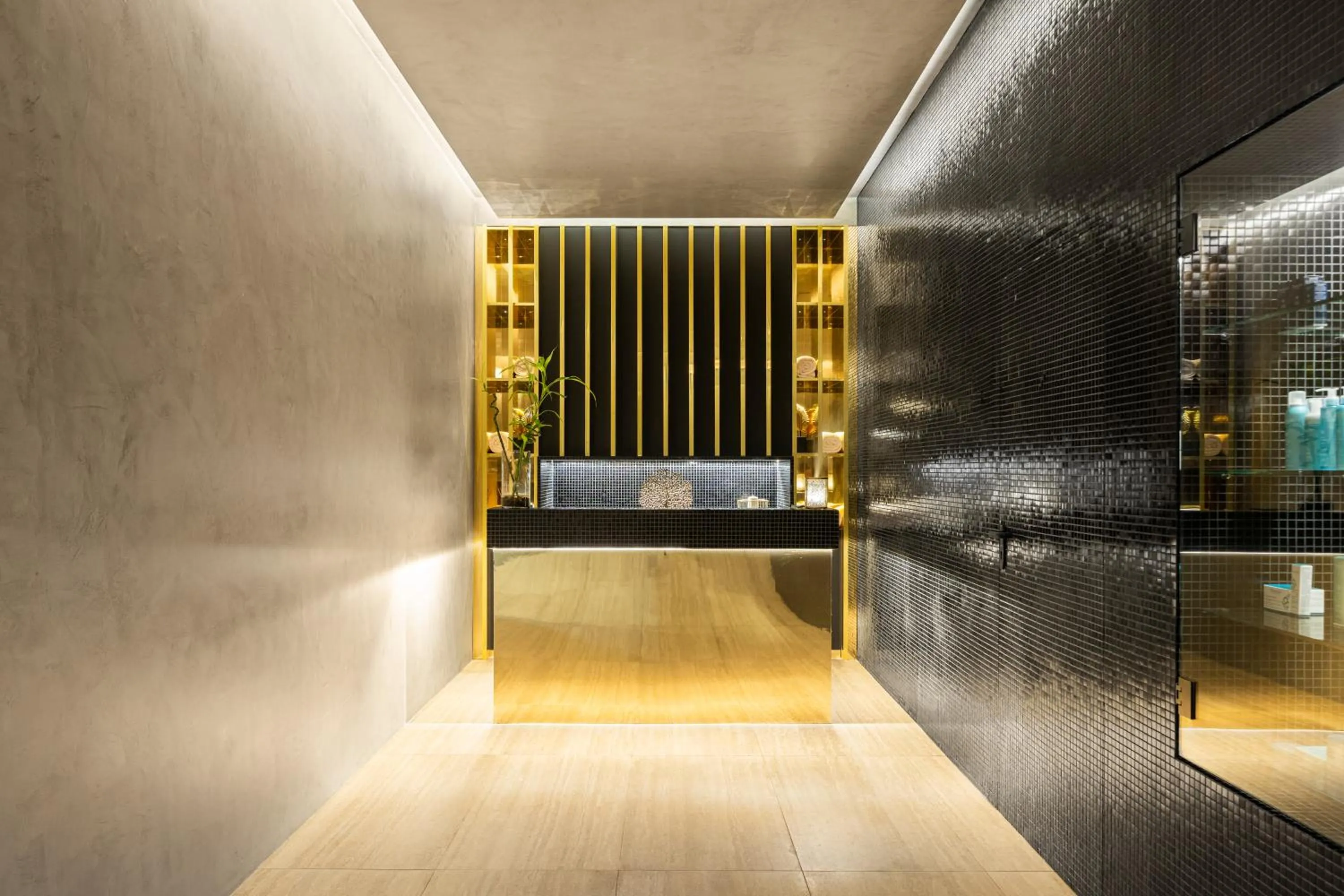 Spa and wellness centre/facilities in MS Collection Aveiro - Palacete Valdemouro