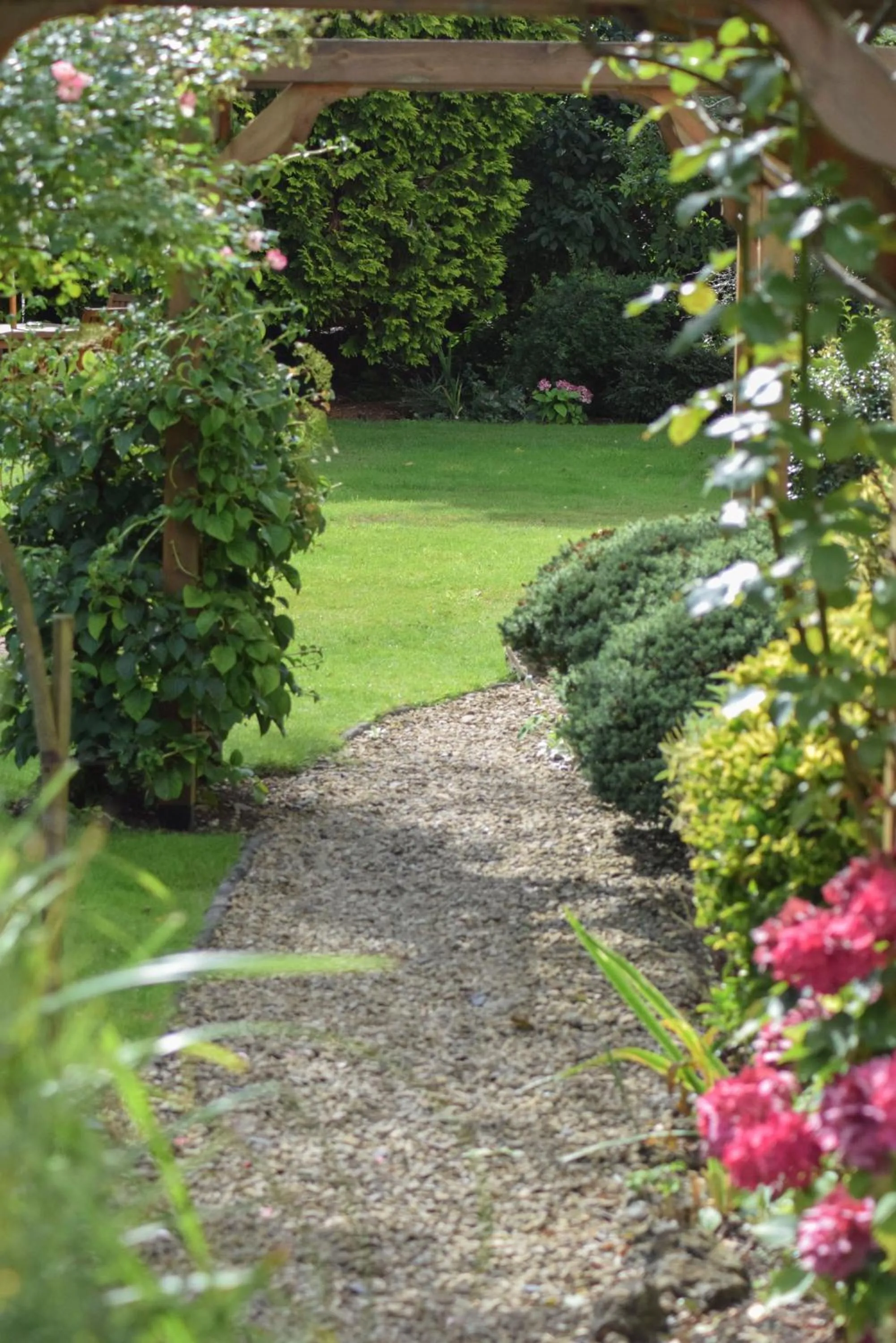 Garden in Beaumont House