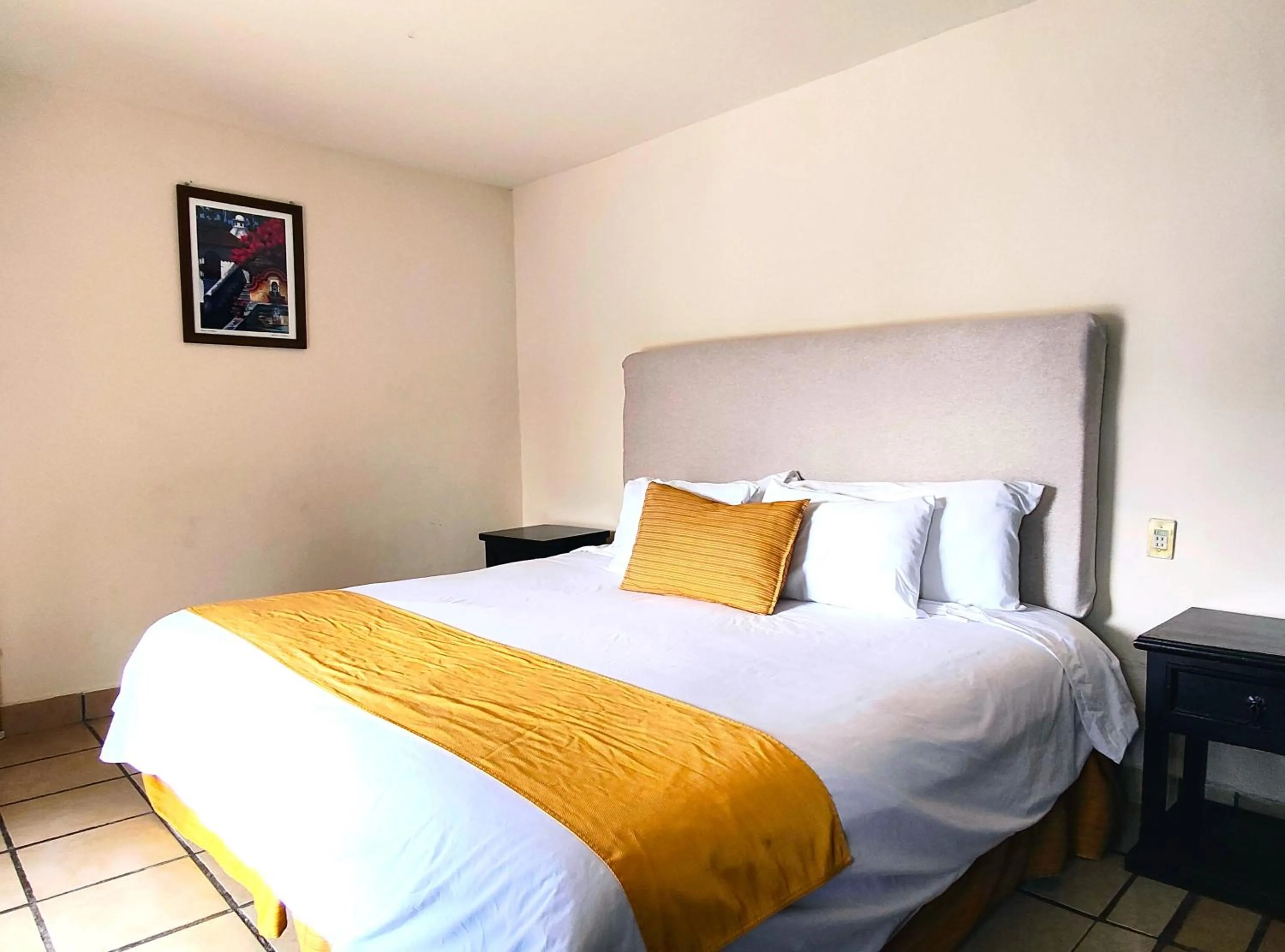 Hotel Jardines Centro