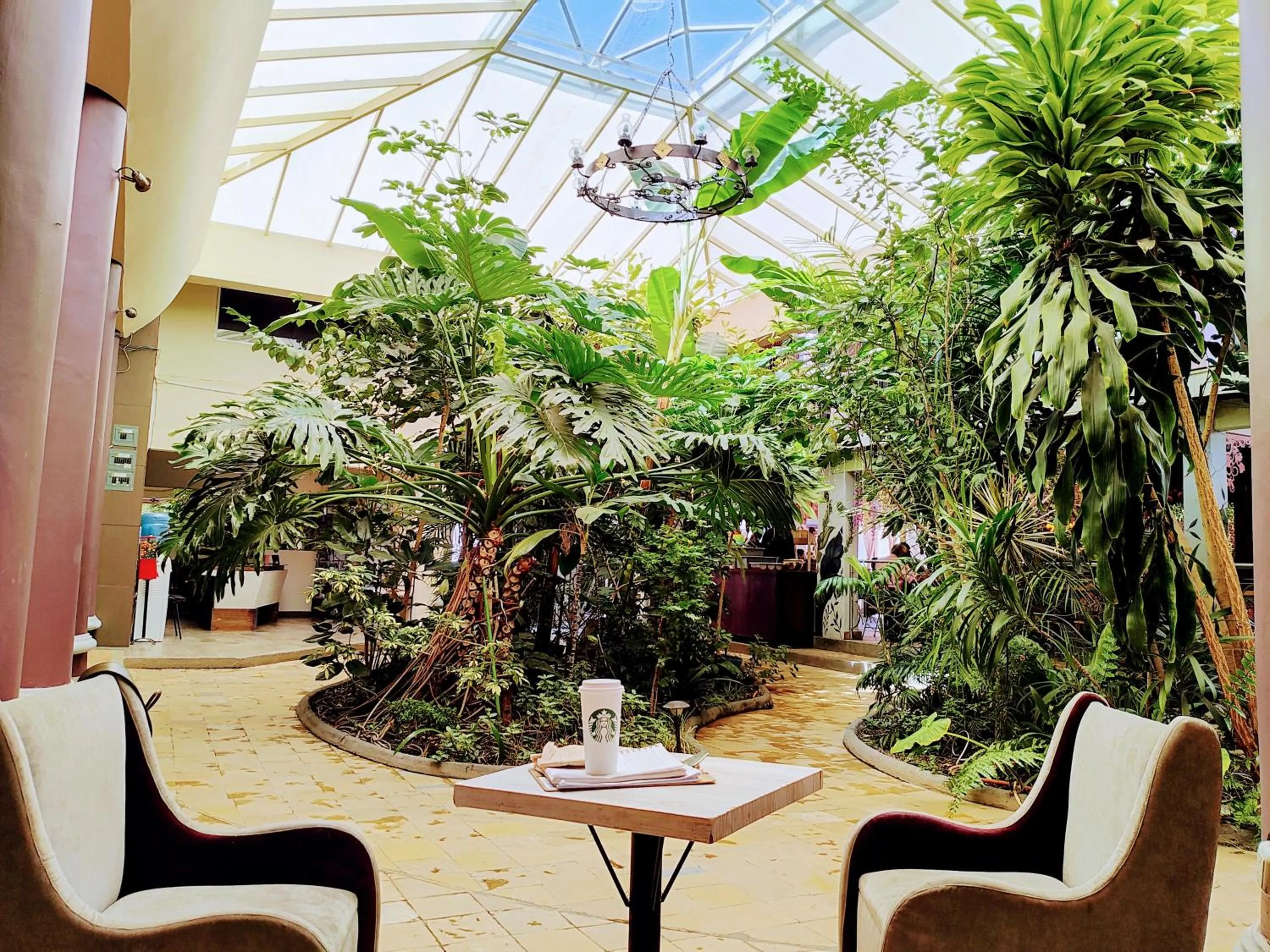 Hotel Jardines Centro