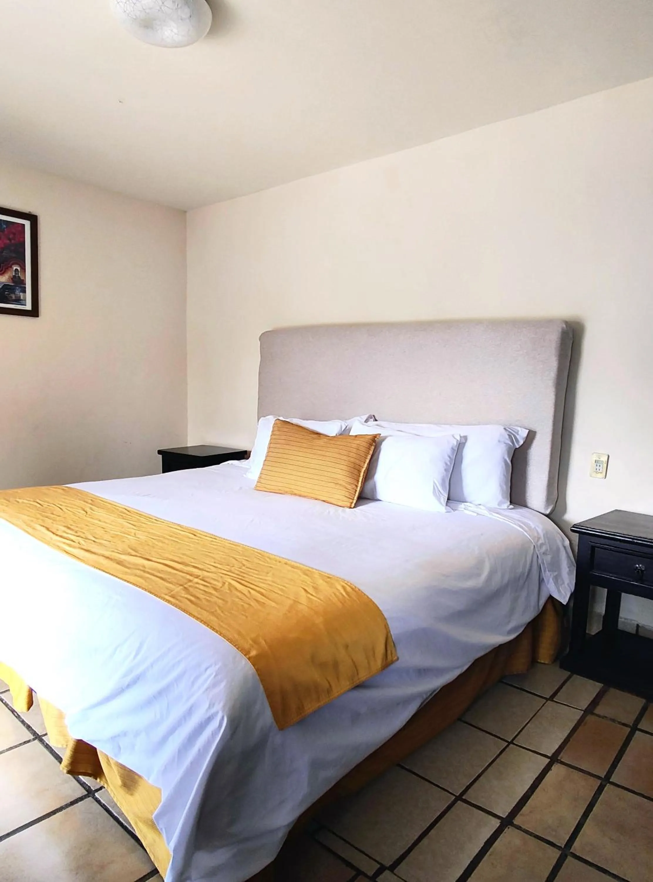 Hotel Jardines Centro