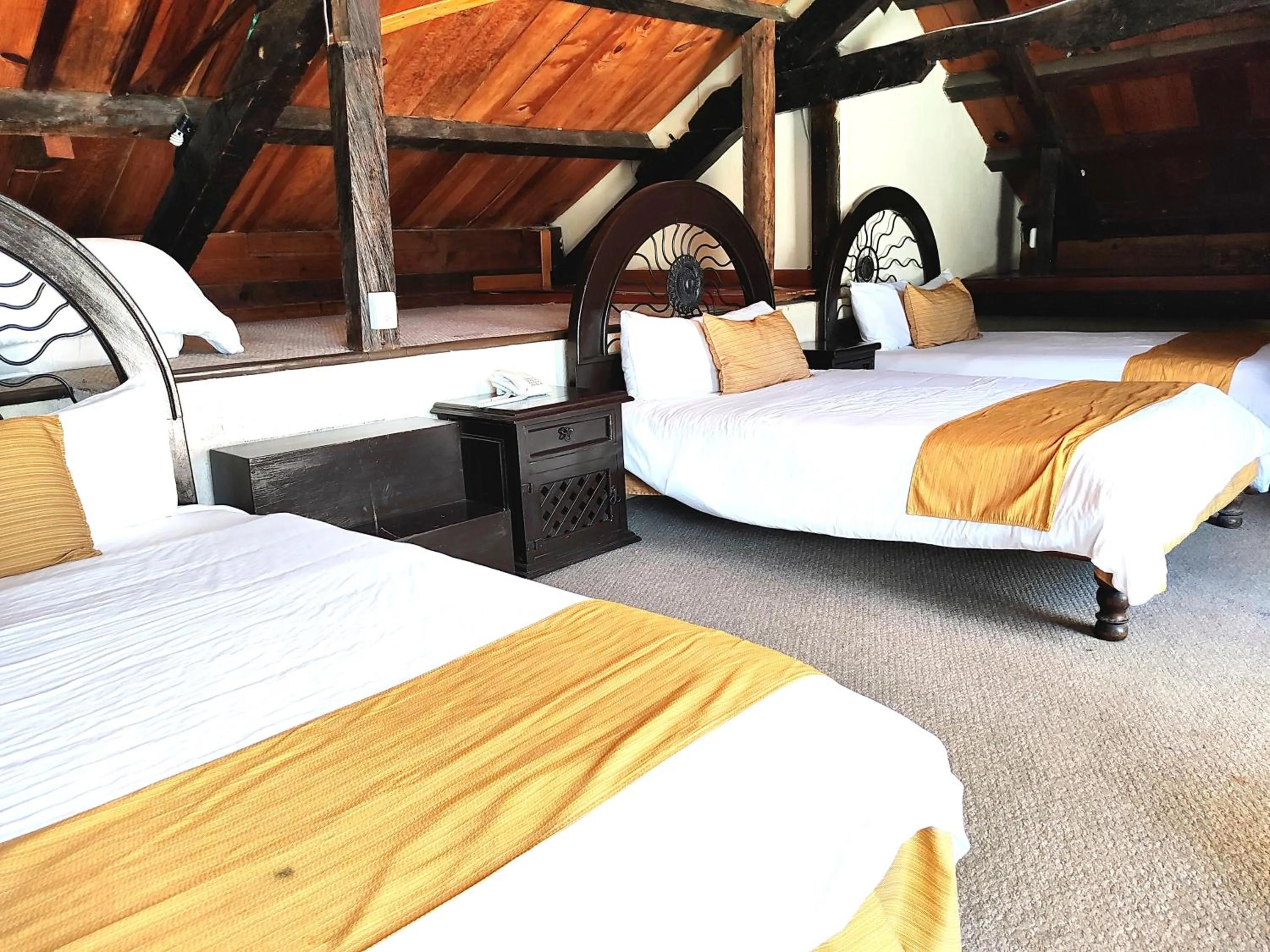 Hotel Jardines Centro