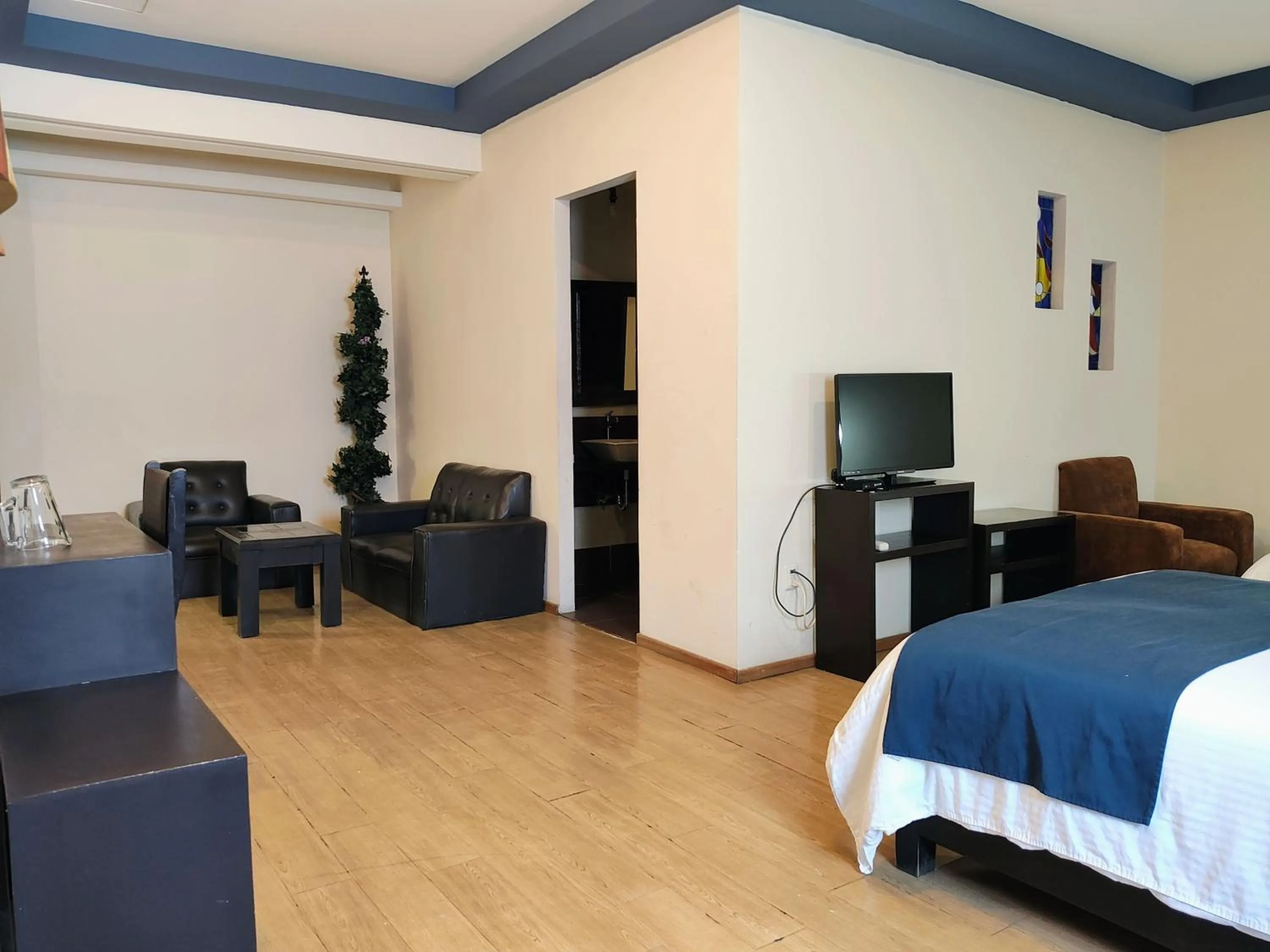 TV/Entertainment Center in Hotel Jardines Centro