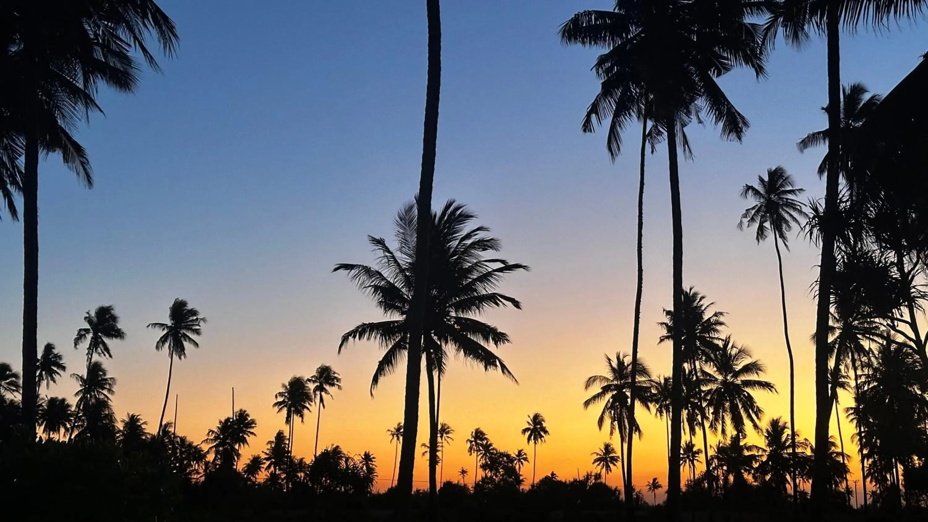 Moayana Liora Zanzibar