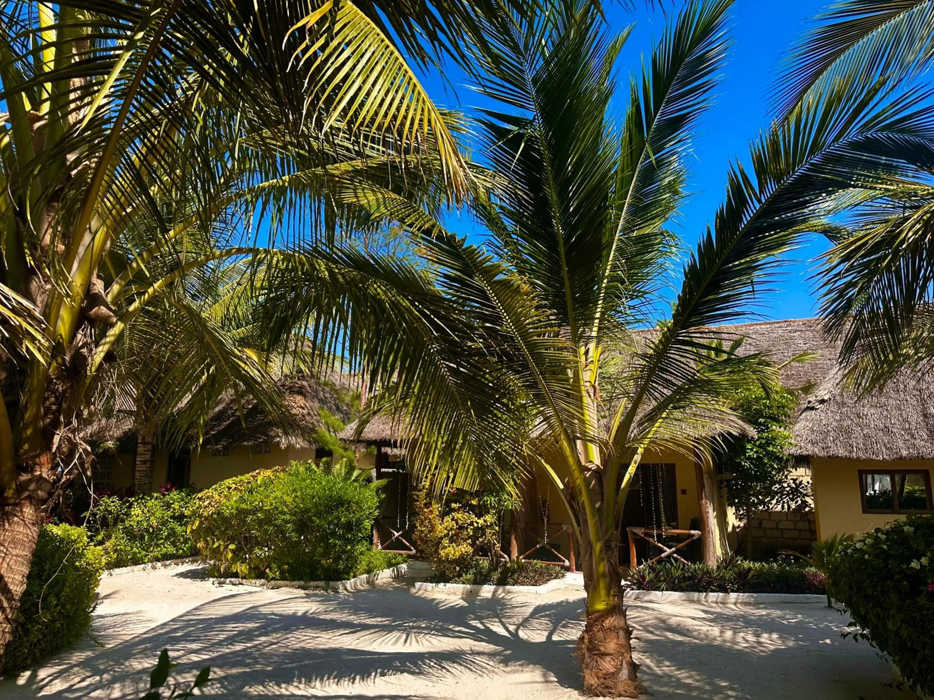 Moayana Liora Zanzibar