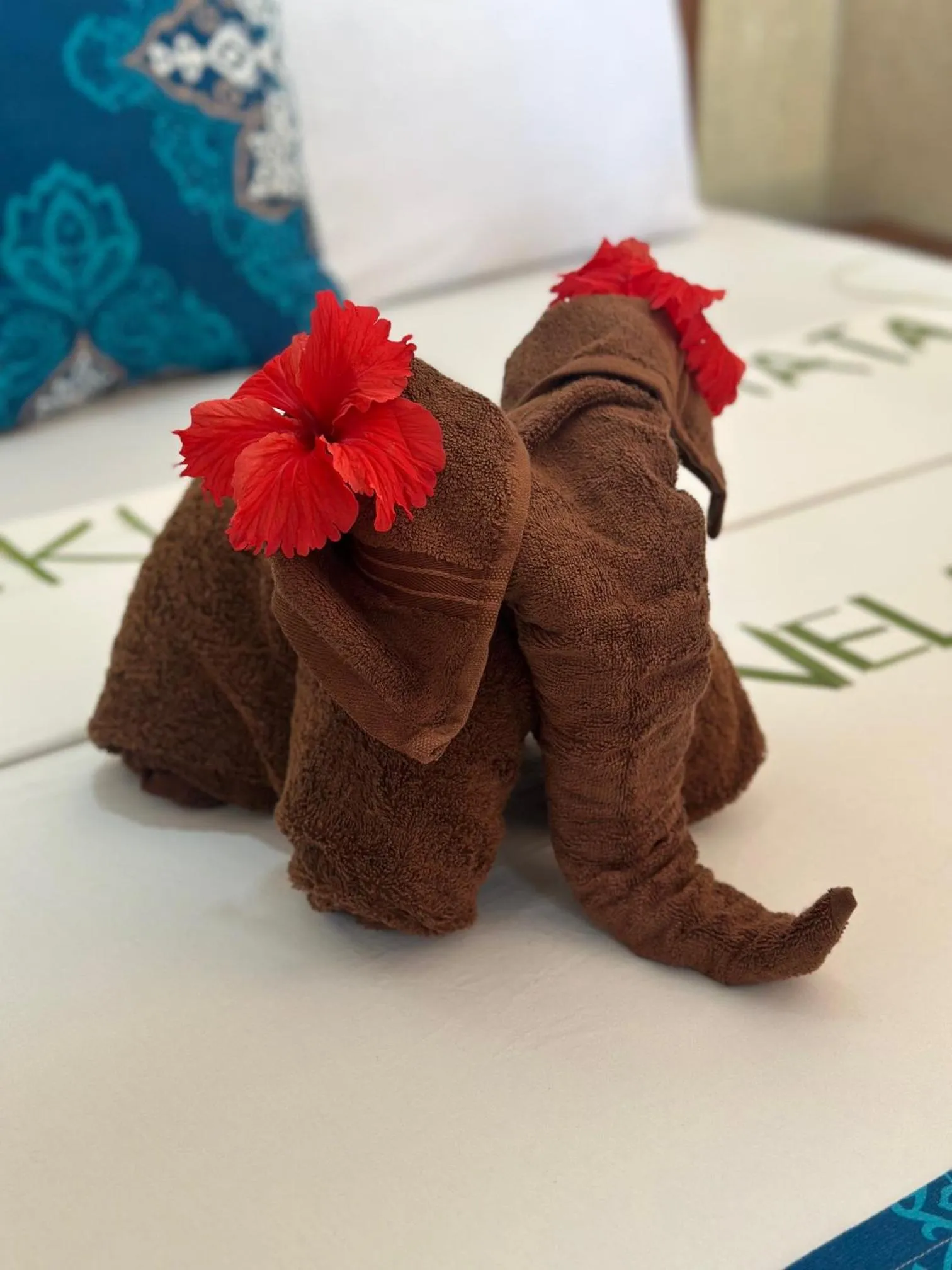 Moayana Liora Zanzibar