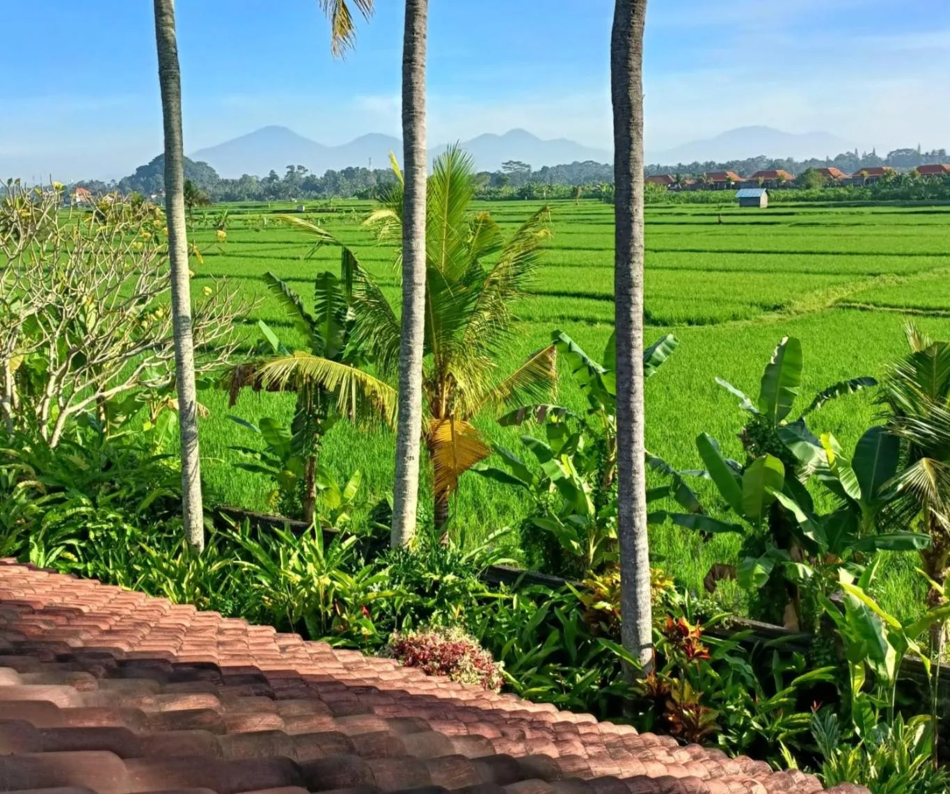 Neighbourhood in RUNA House Of Design