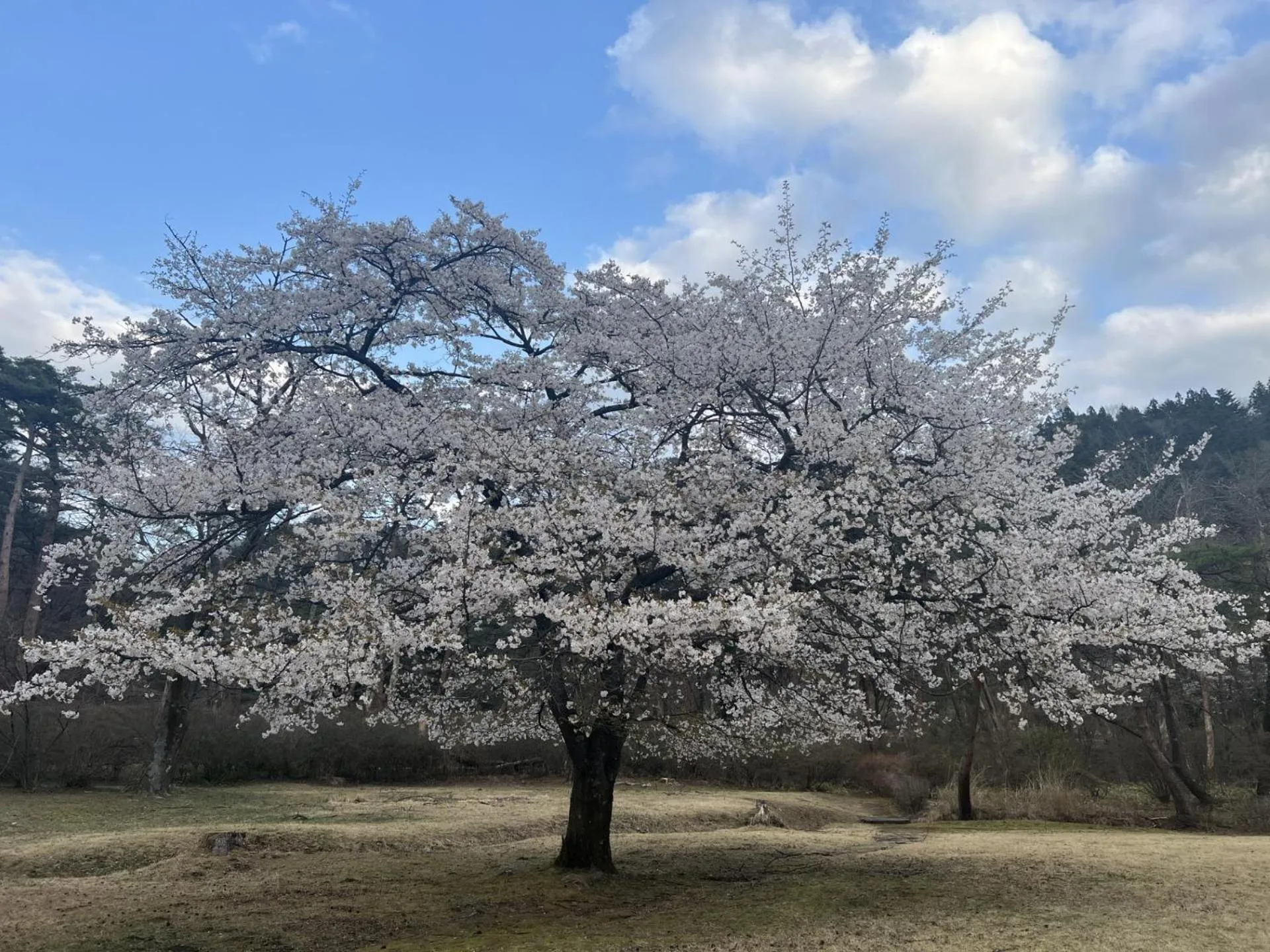 Nearby landmark in KINUGAWA KEISUI
