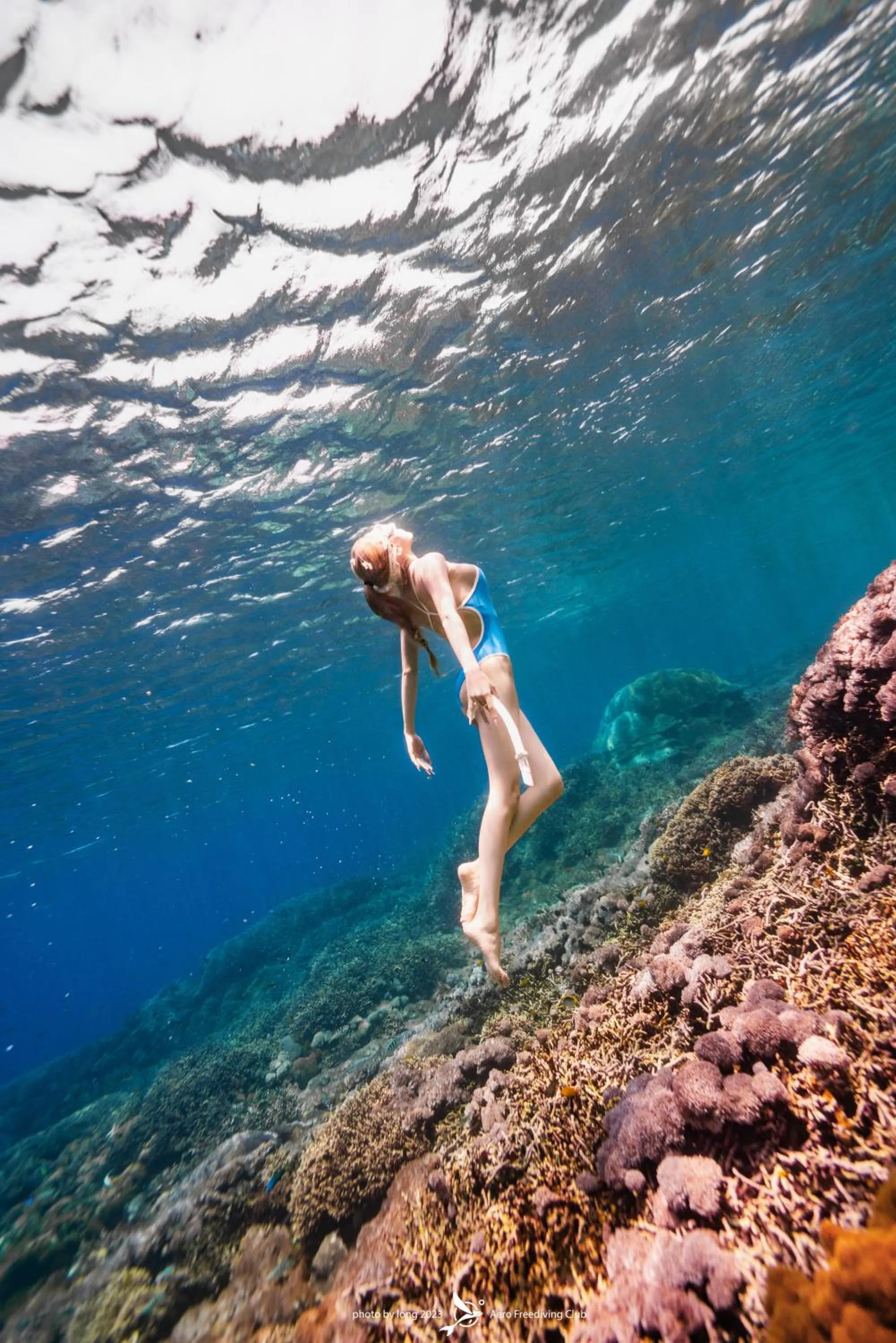 Dive & Dwell Tulamben