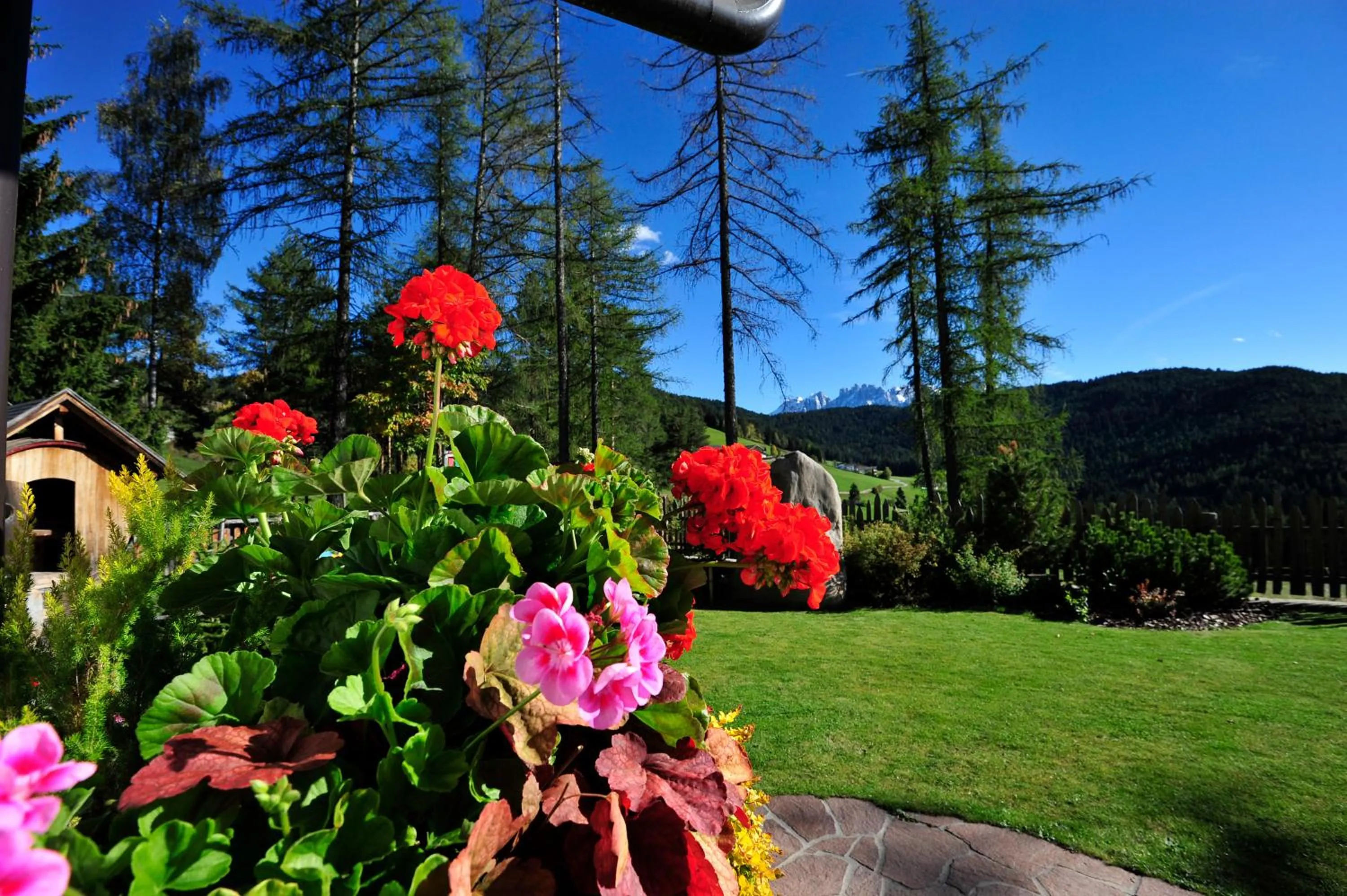 Spring in Hotel Landgasthof Lärchenwald