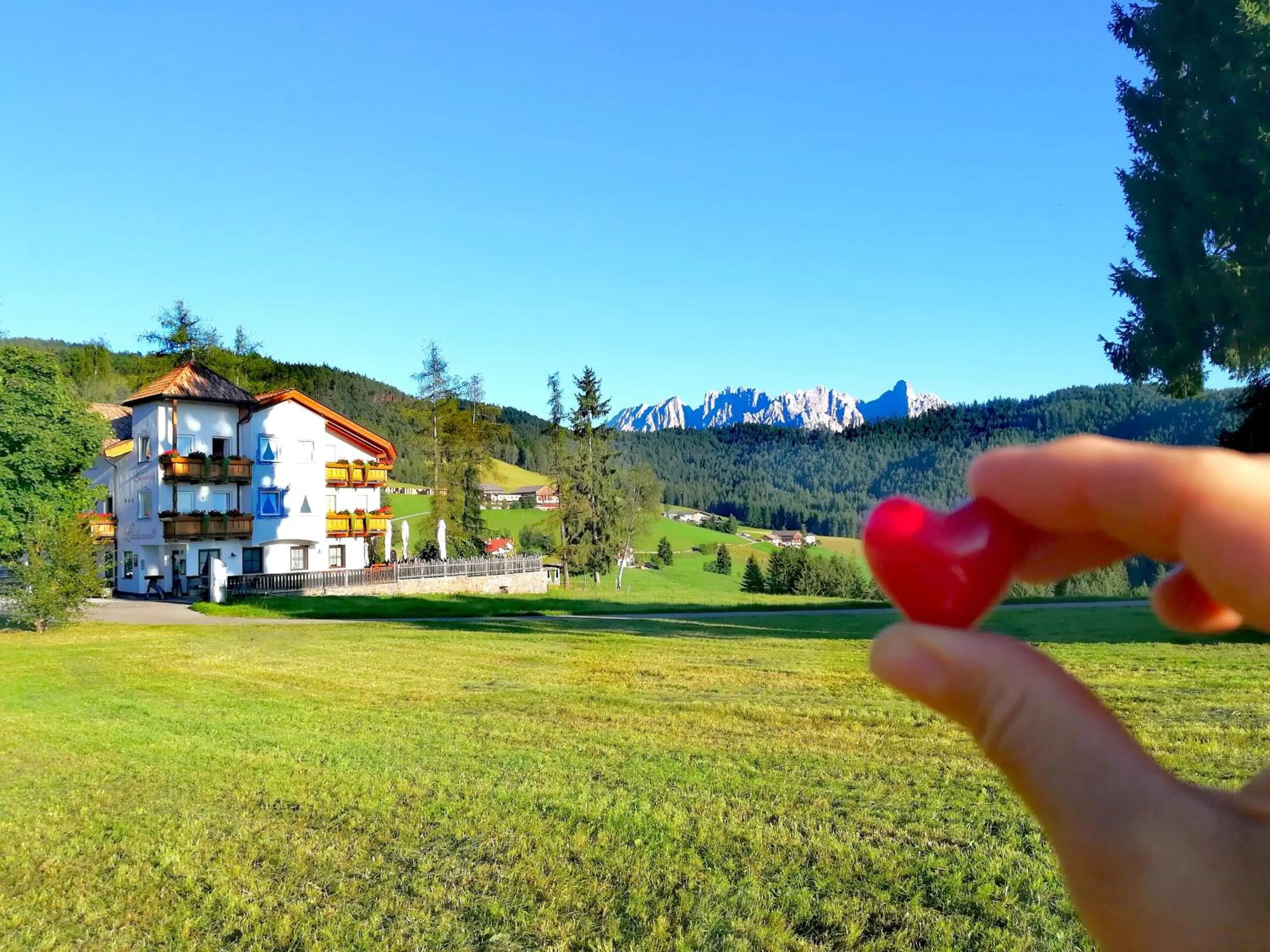 Property building in Hotel Landgasthof Lärchenwald