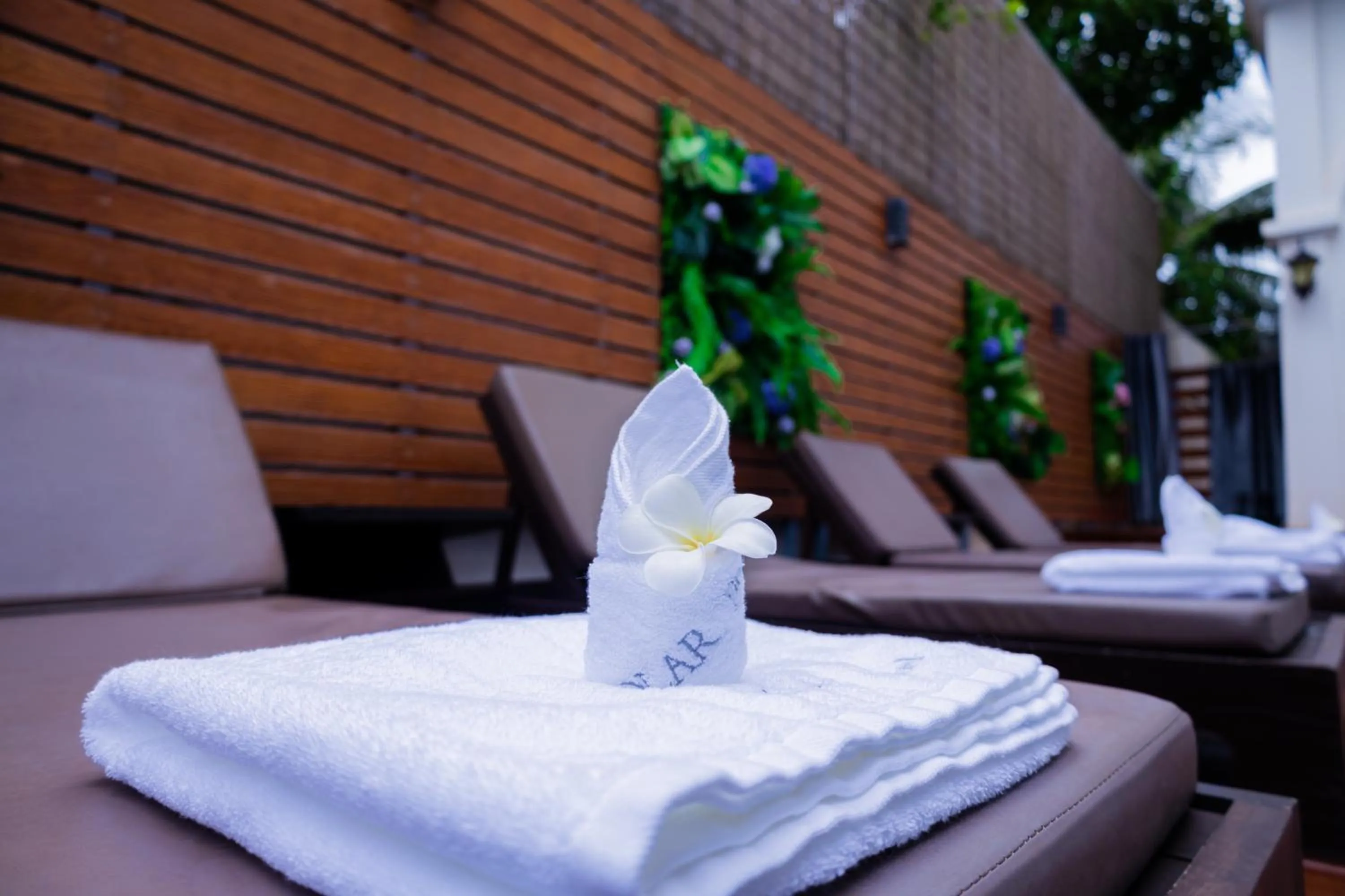 sunbed in Solar Hotel