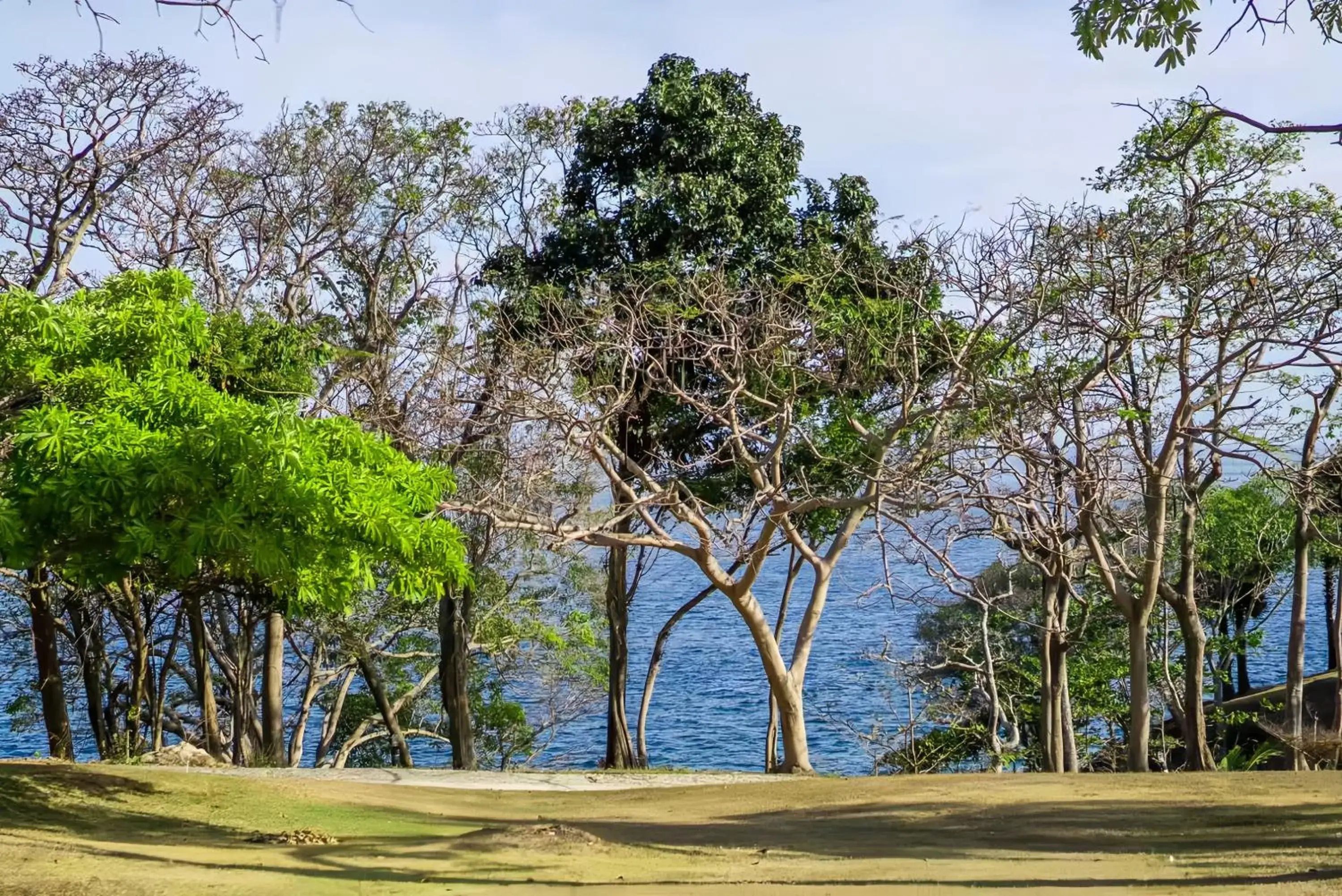 Deluxe Double Room with Sea View in Ban Raya Resort and Spa Deluxe Double Room with Sea View in Ban Raya Resort and Spa