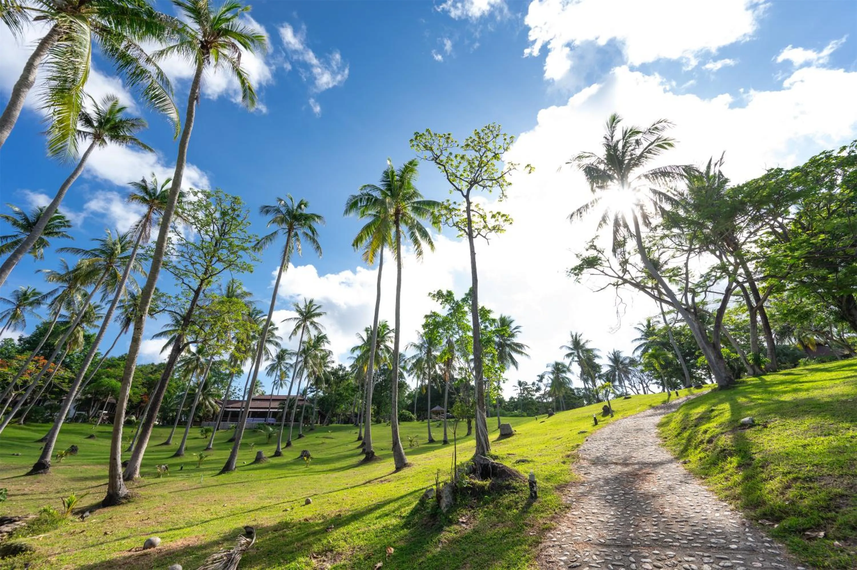 Garden in Ban Raya Resort and Spa