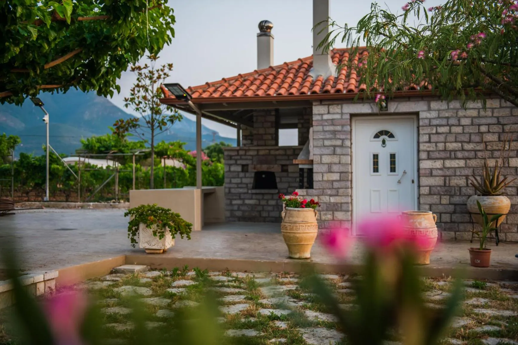 Garden in Terra Hélios Suites & Studios
