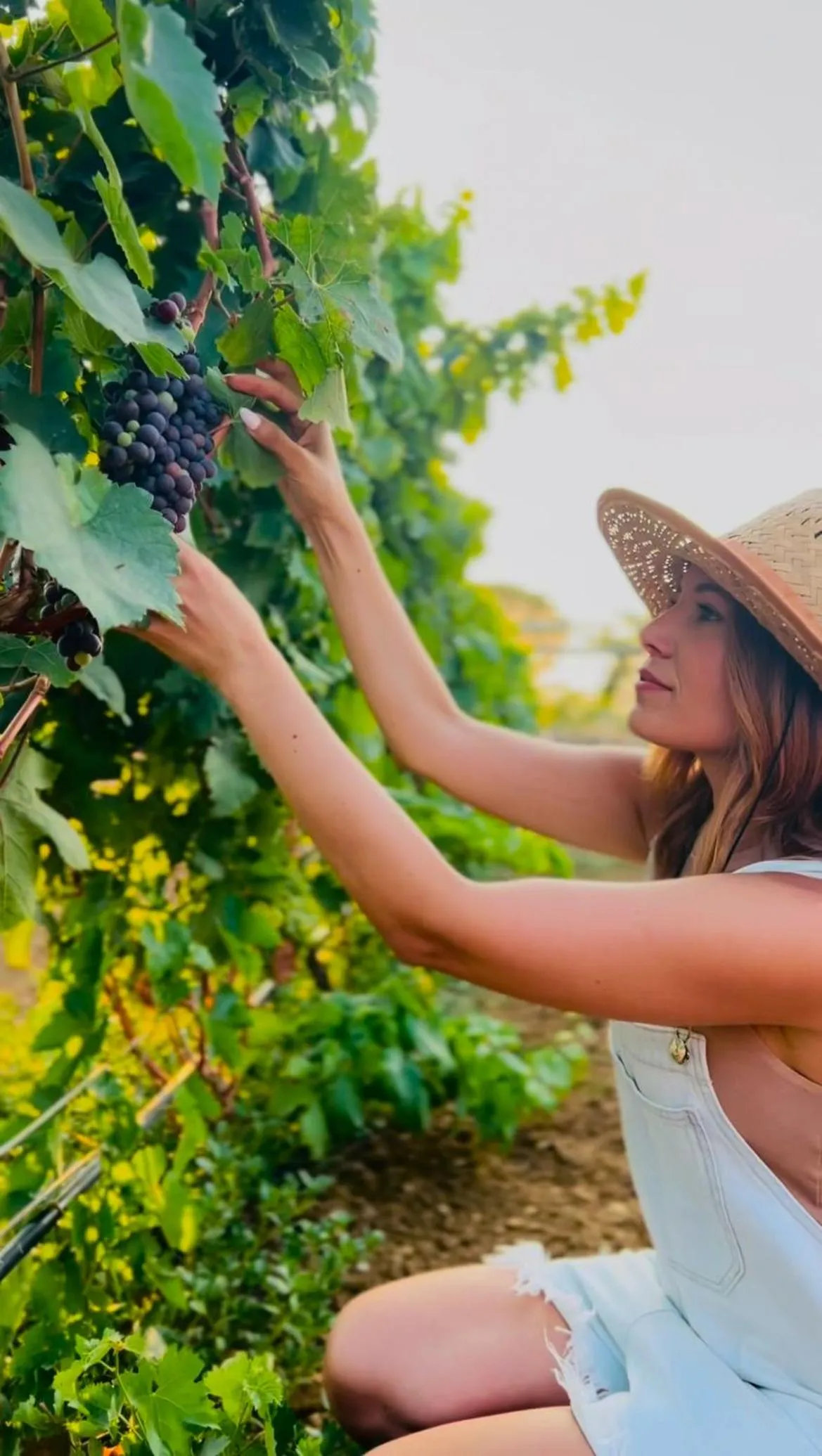 Activities in Terra Hélios Suites & Studios