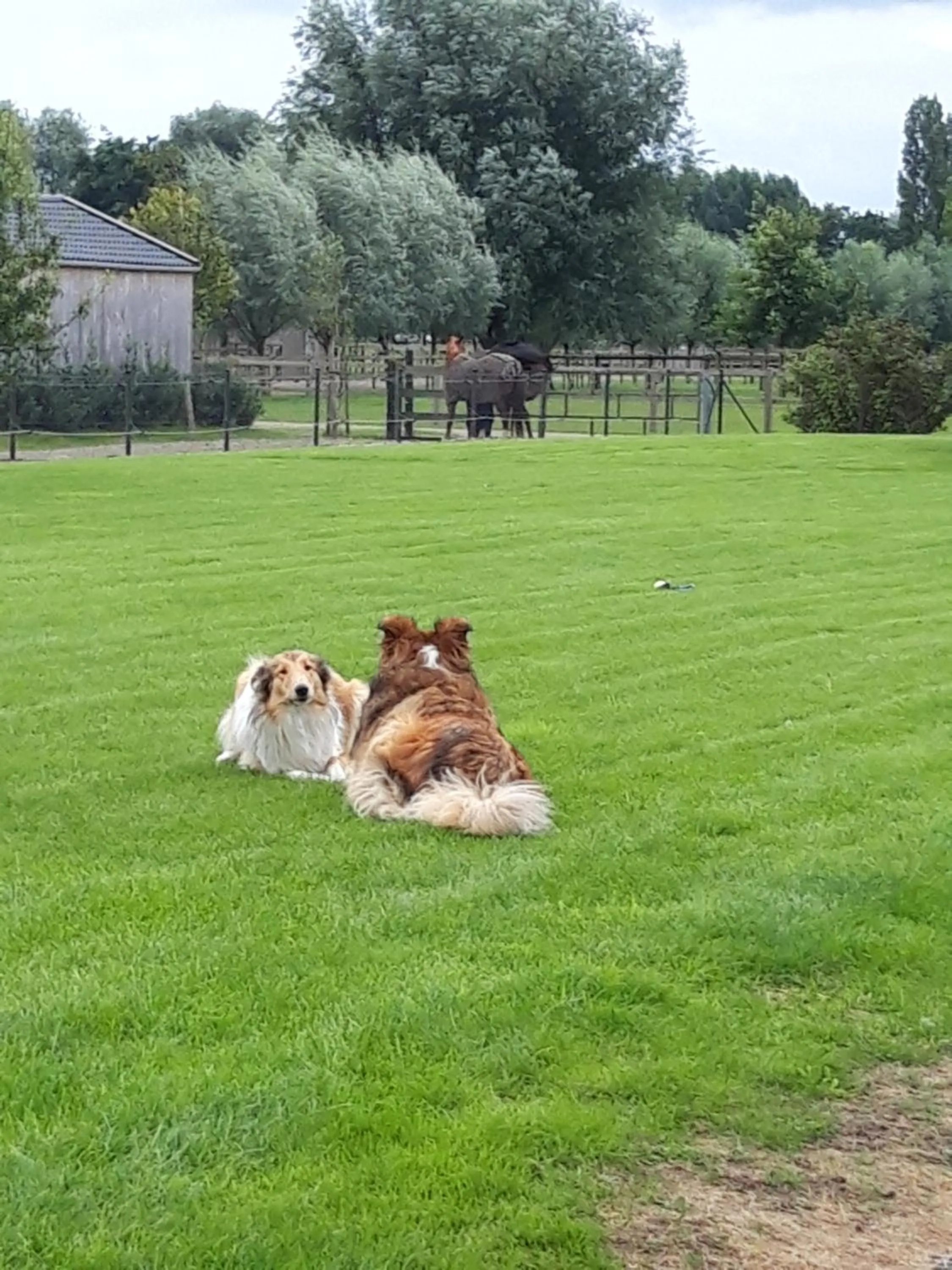 Garden view in B&B Finis terrae with wellness