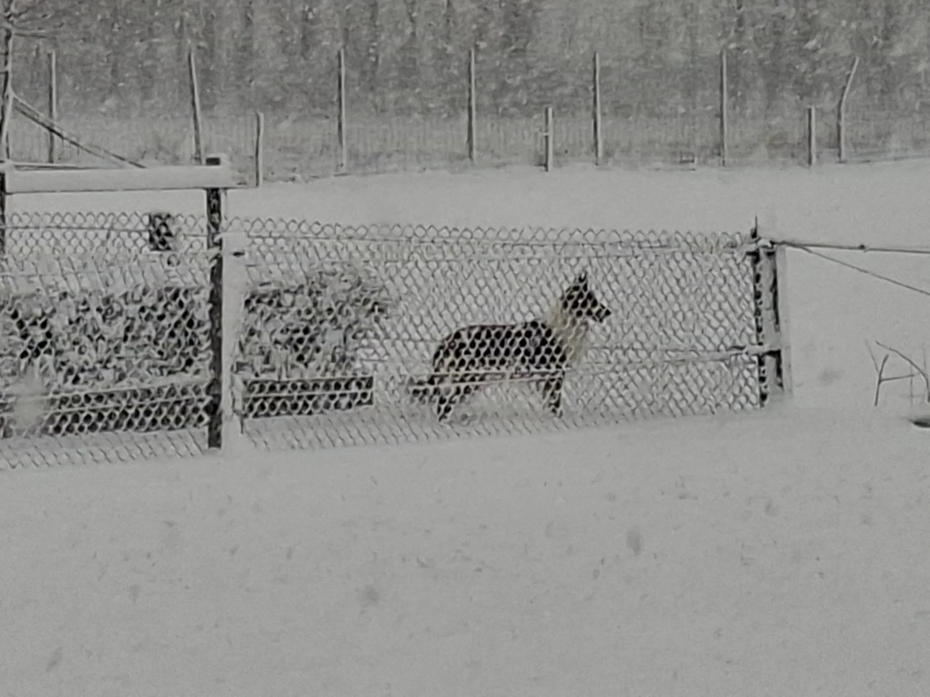 Winter in B&B Finis terrae with wellness