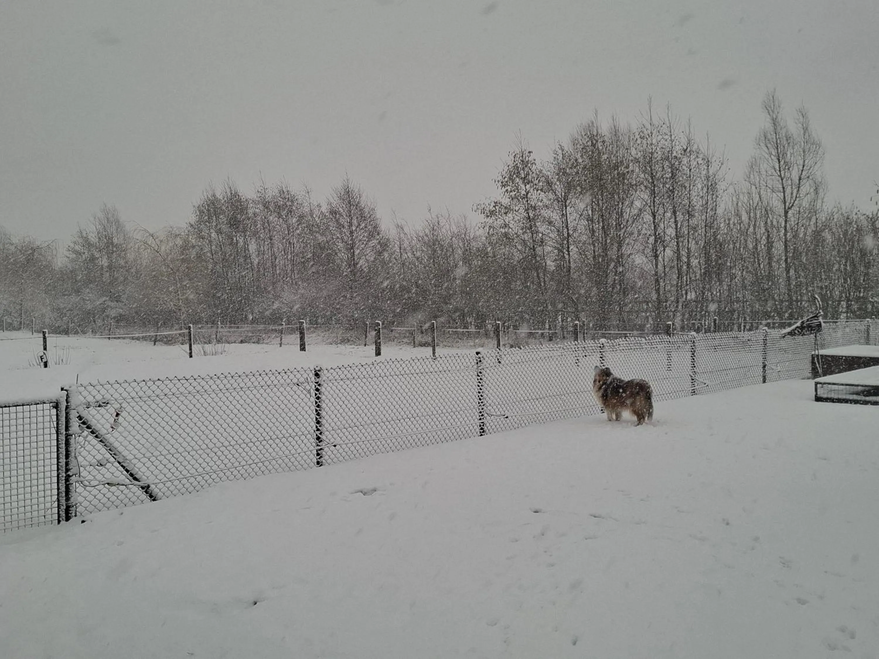 Winter in B&B Finis terrae with wellness