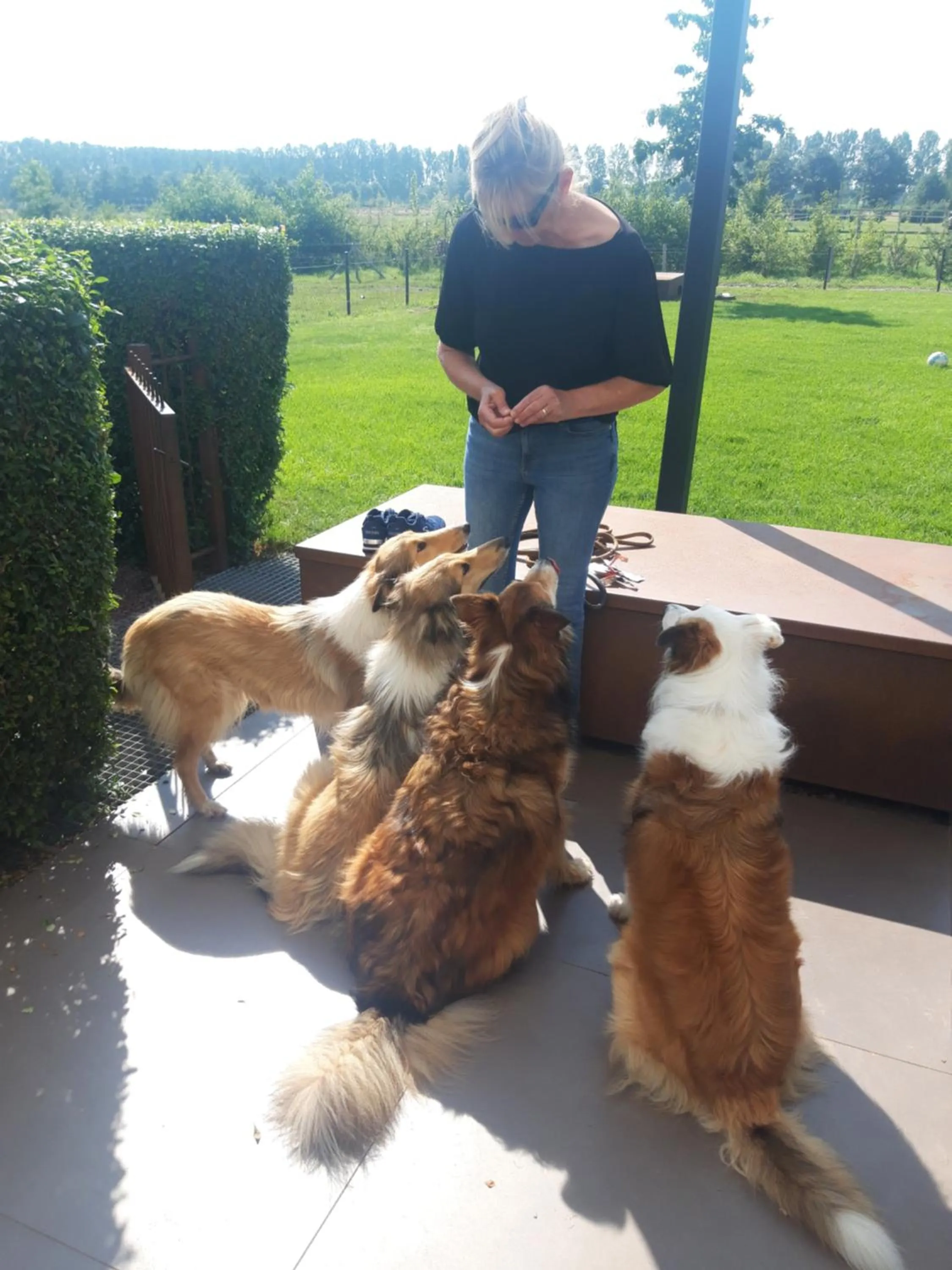 pet friendly in B&B Finis terrae with wellness