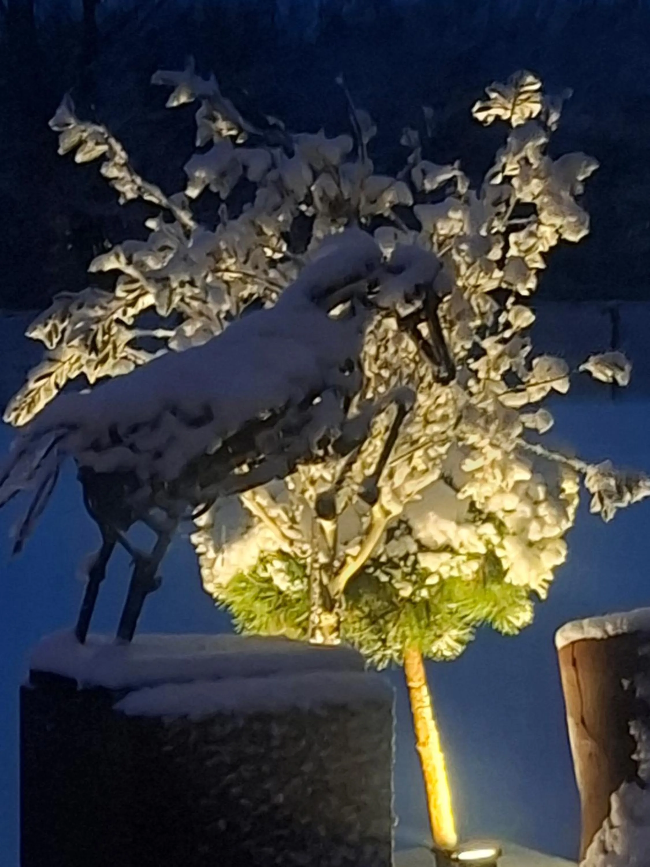 Winter in B&B Finis terrae with wellness