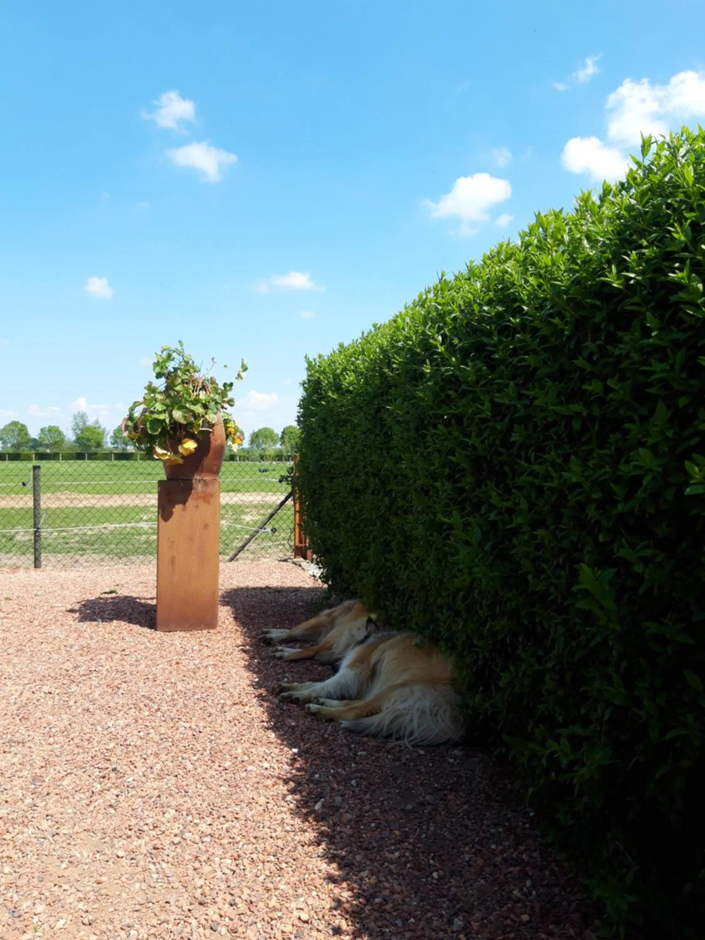 View (from property/room) in B&B Finis terrae with wellness