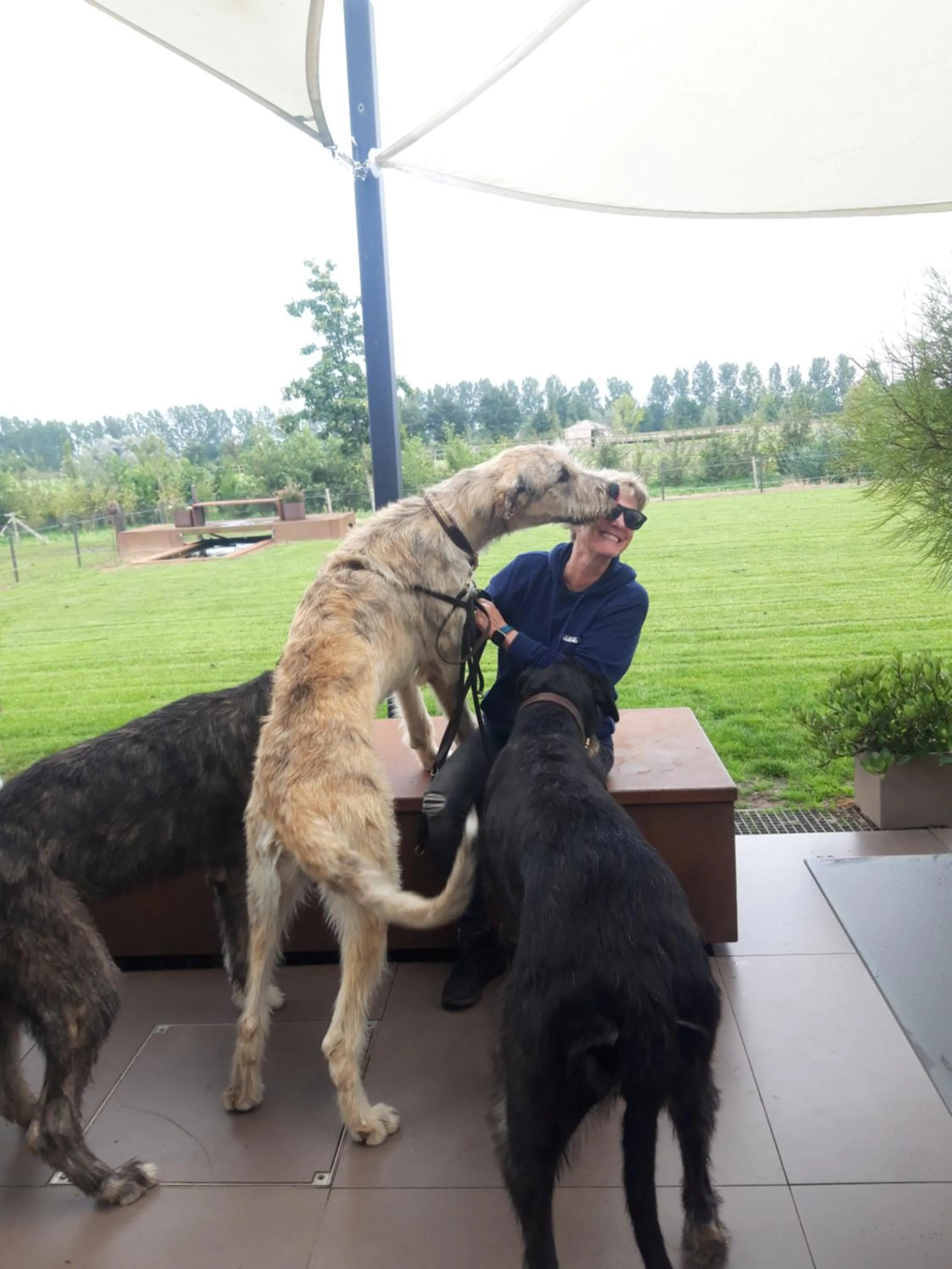 pet friendly in B&B Finis terrae with wellness