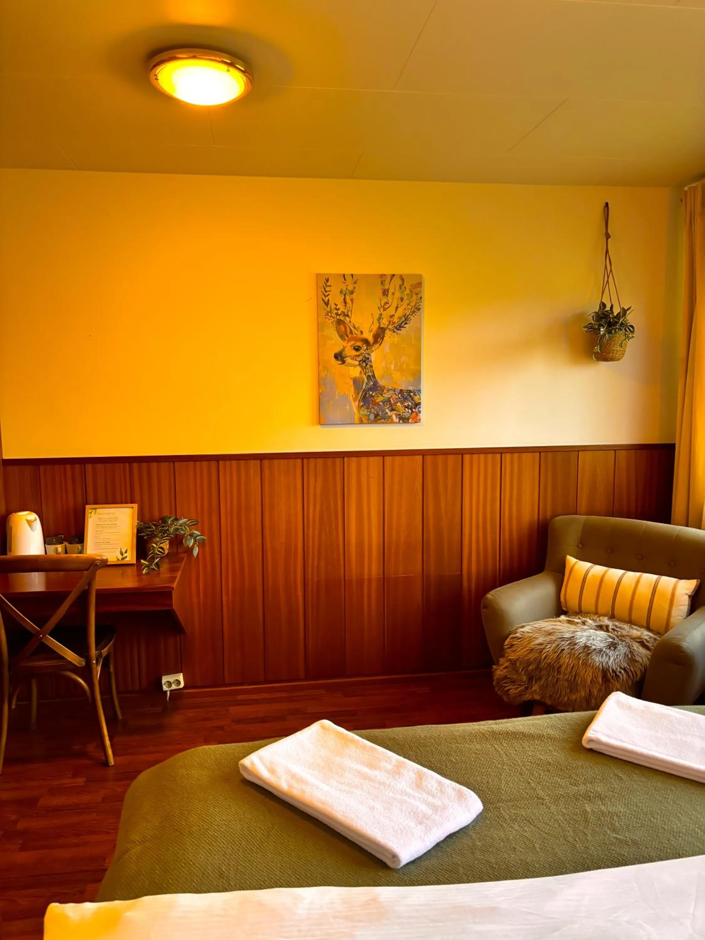 Bed in Hotel Brú countryside