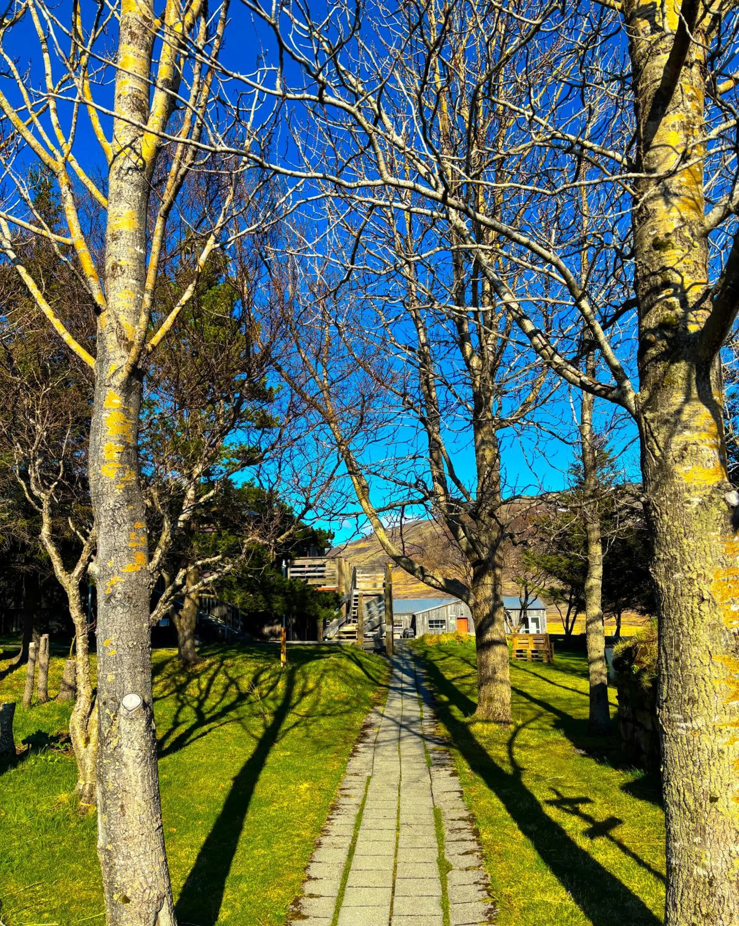 Natural landscape in Hotel Brú countryside