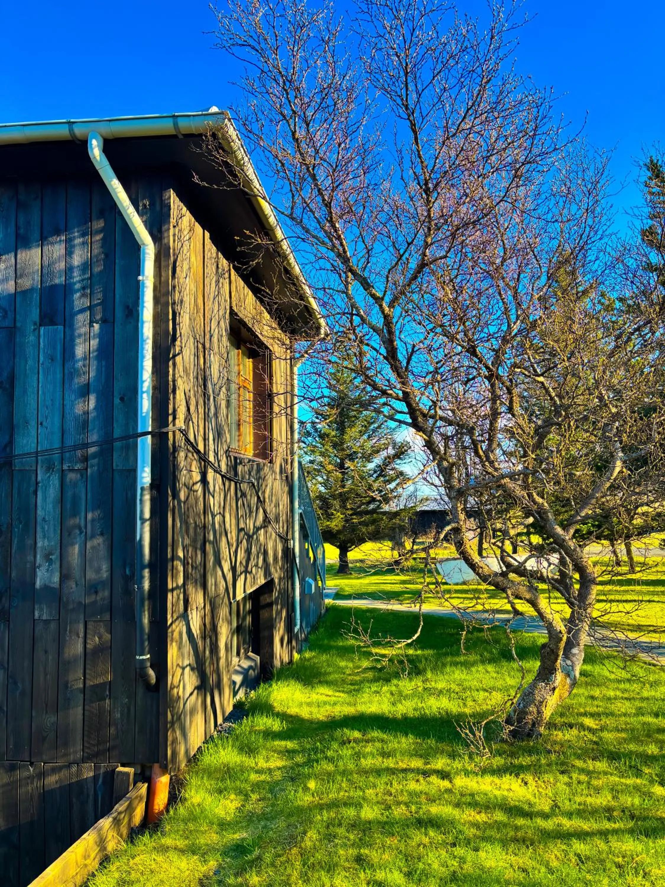 Natural landscape in Hotel Brú countryside