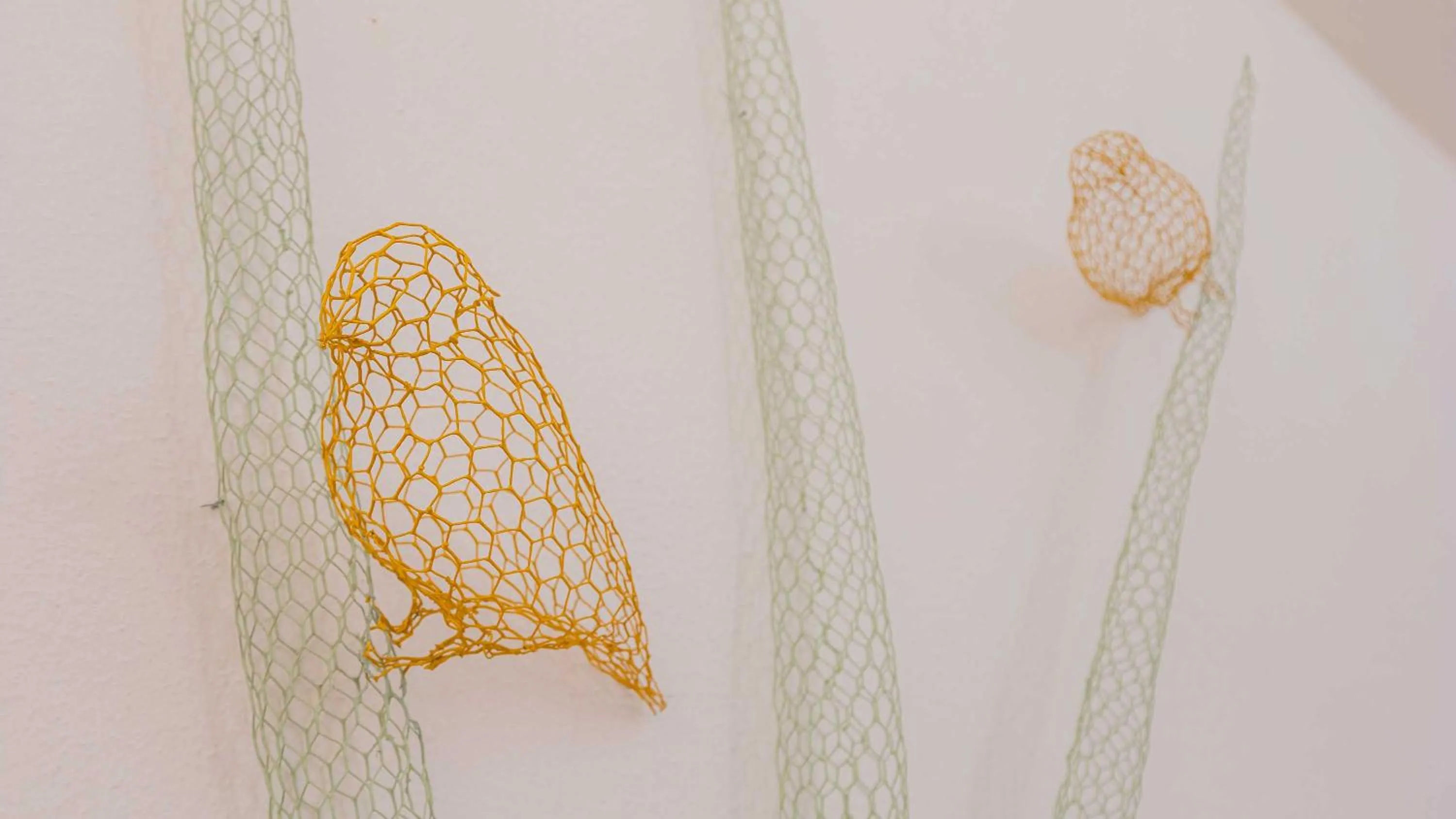 furniture in Isola Memmia