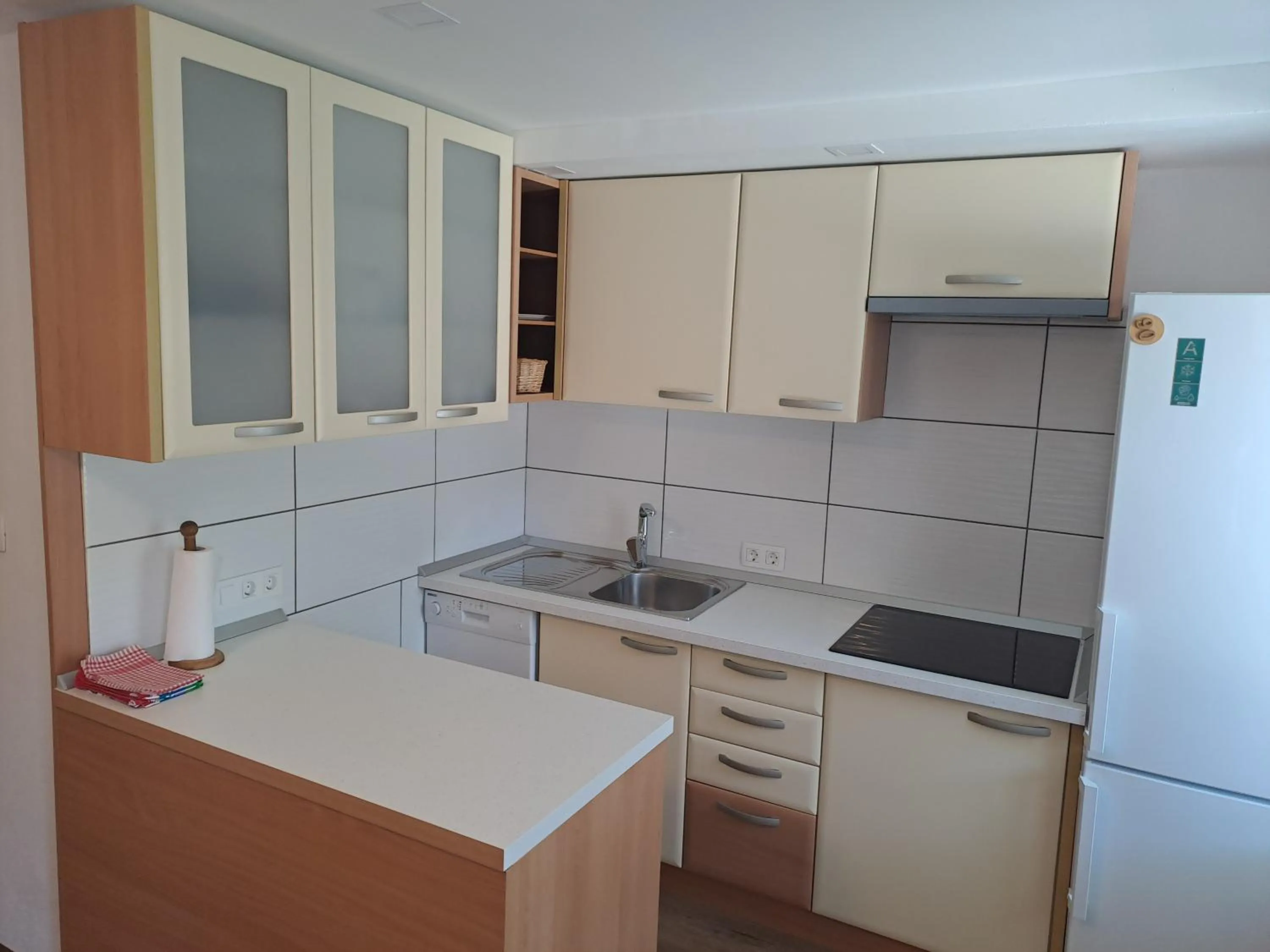 Apartment Danica