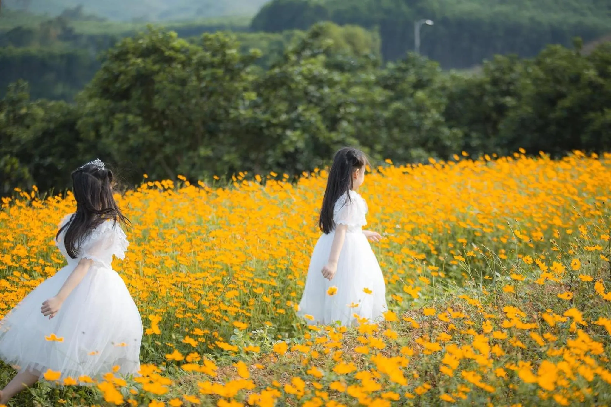Natural landscape in KHU DU LỊCH SINH THÁI HÒN MÁT