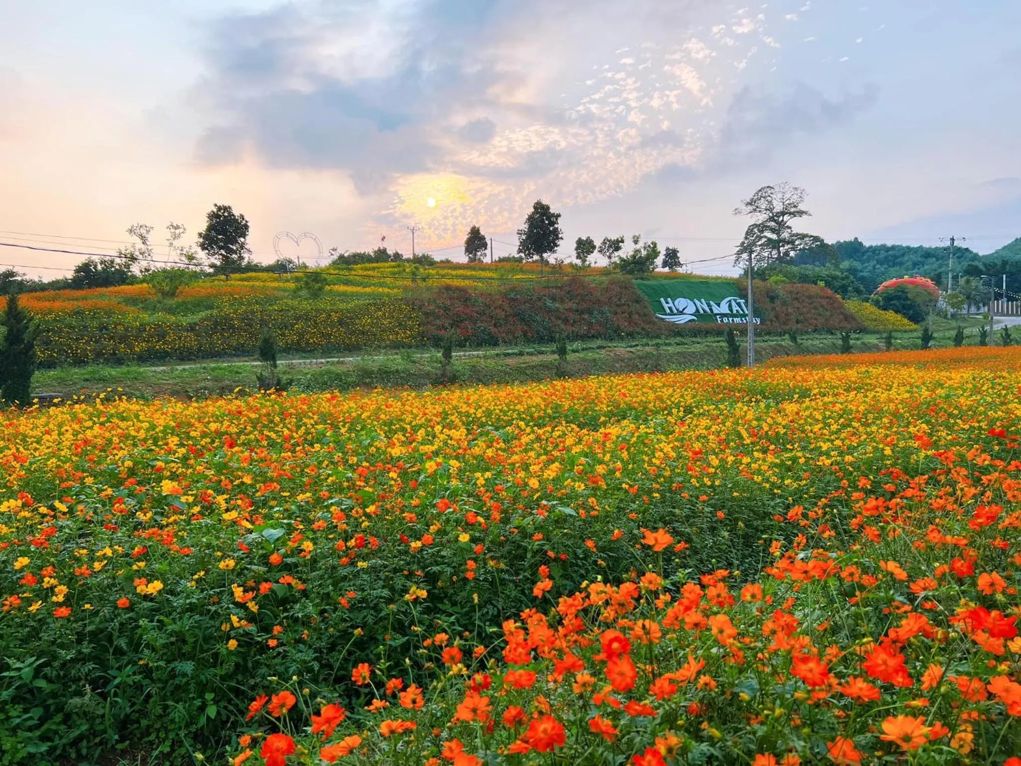 Natural landscape in KHU DU LỊCH SINH THÁI HÒN MÁT