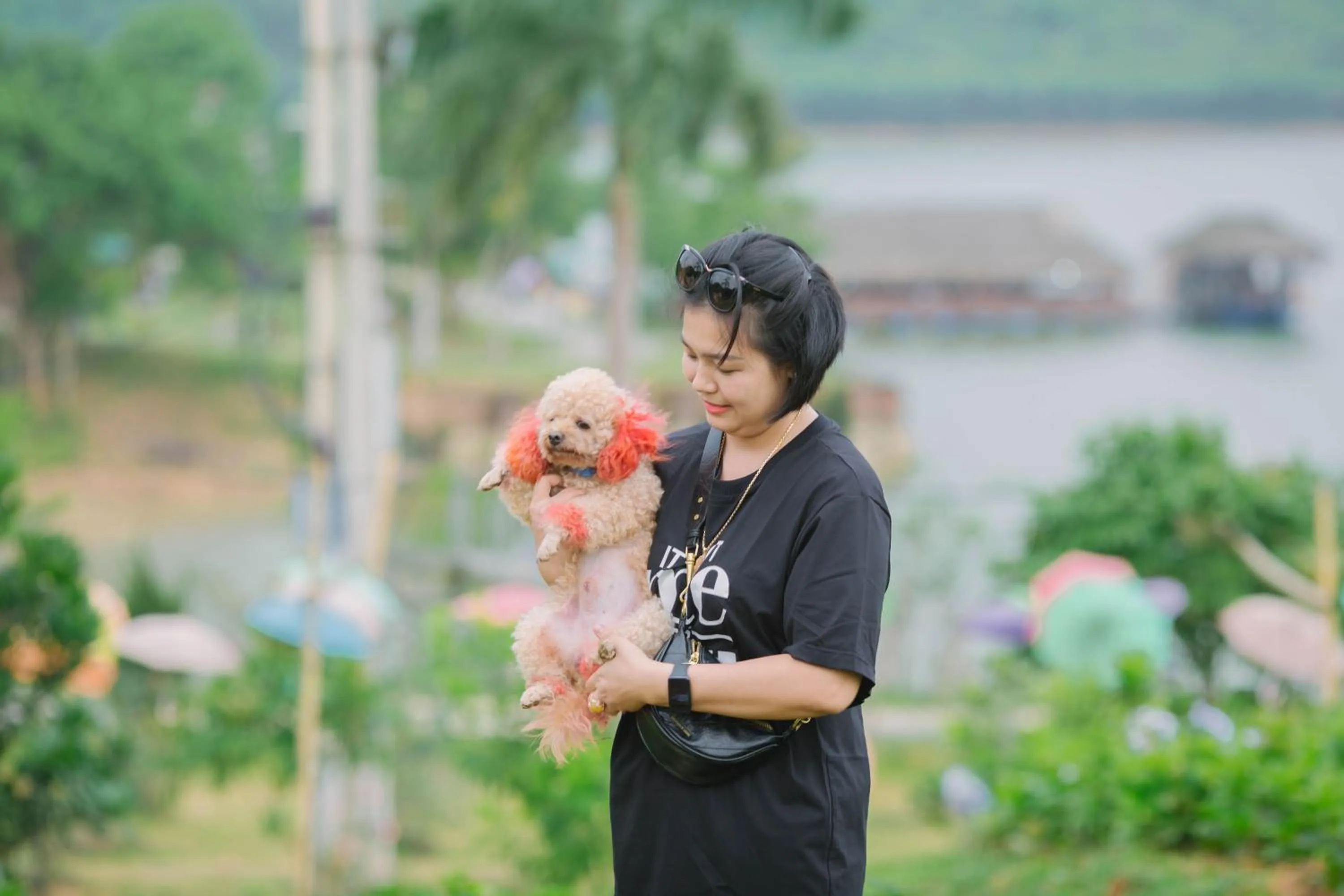 Animals in KHU DU LỊCH SINH THÁI HÒN MÁT