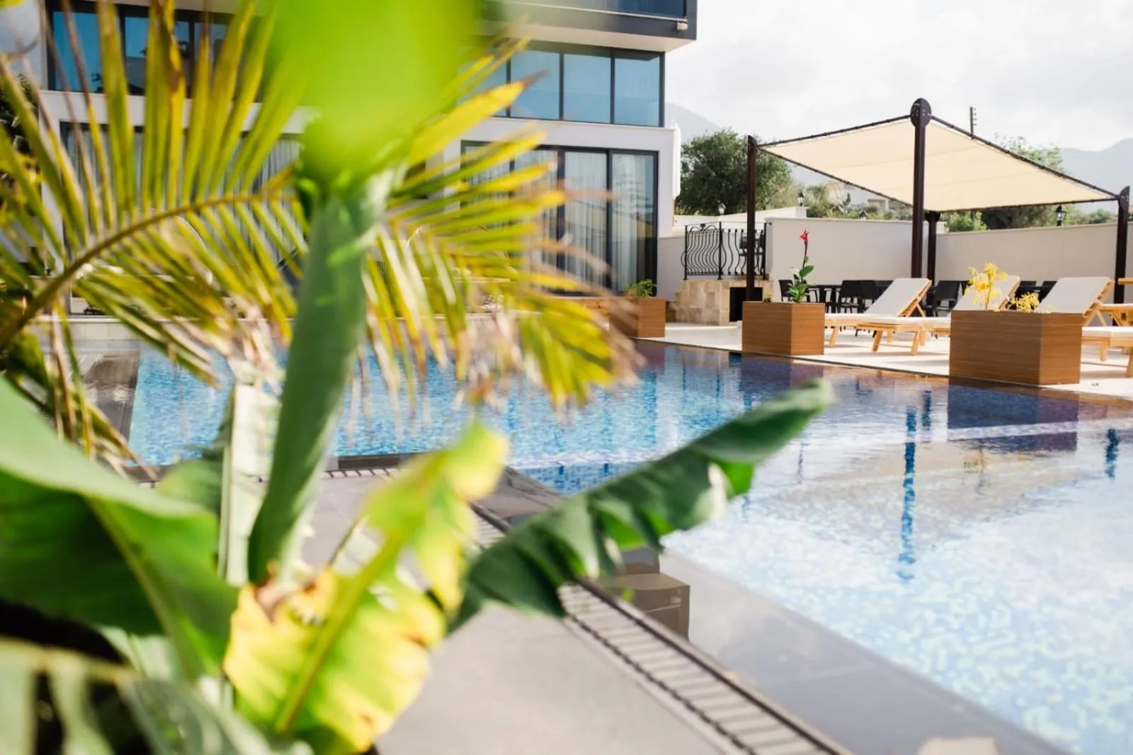 Lounge or bar in Del Mare Park