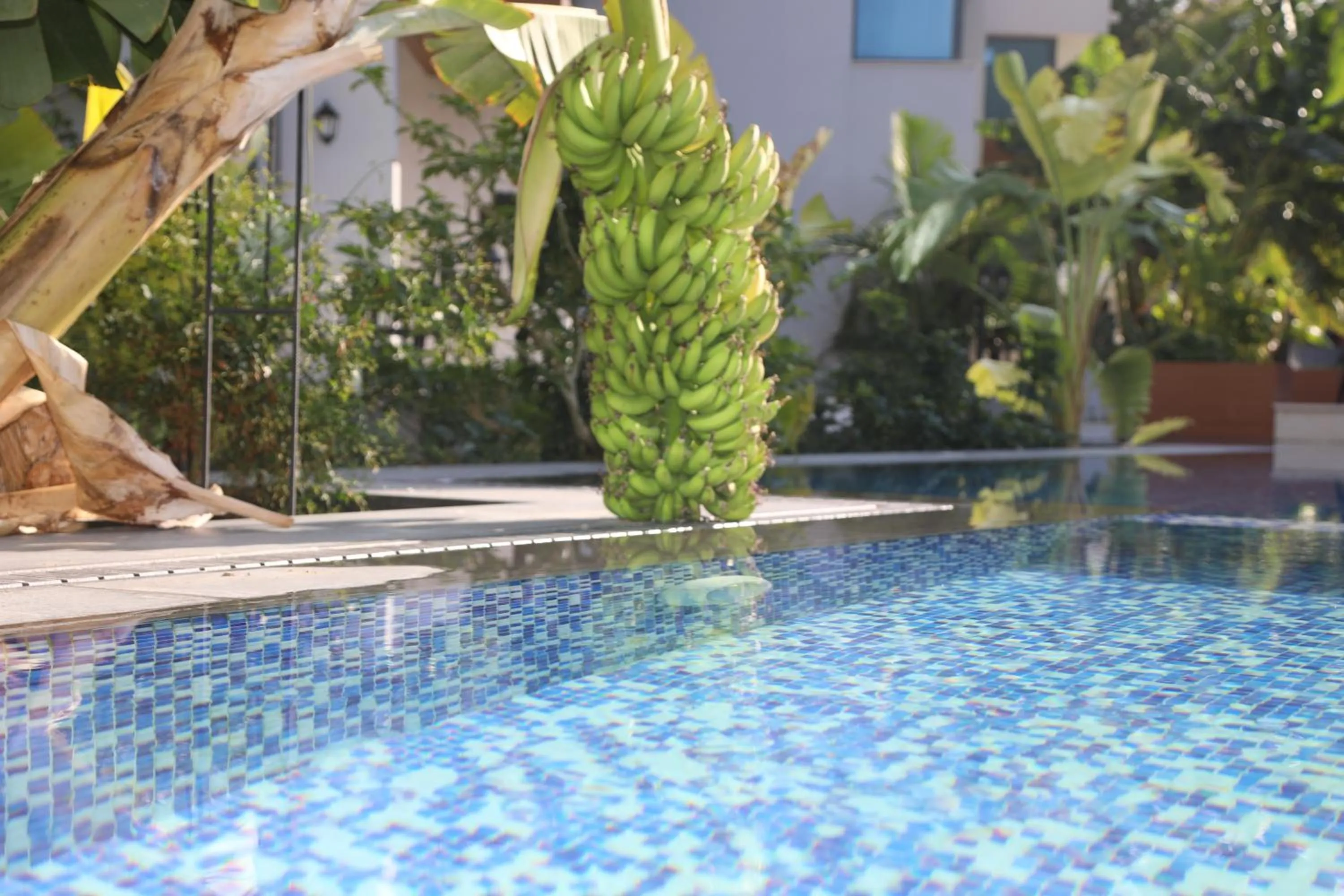 Property building in Del Mare Park