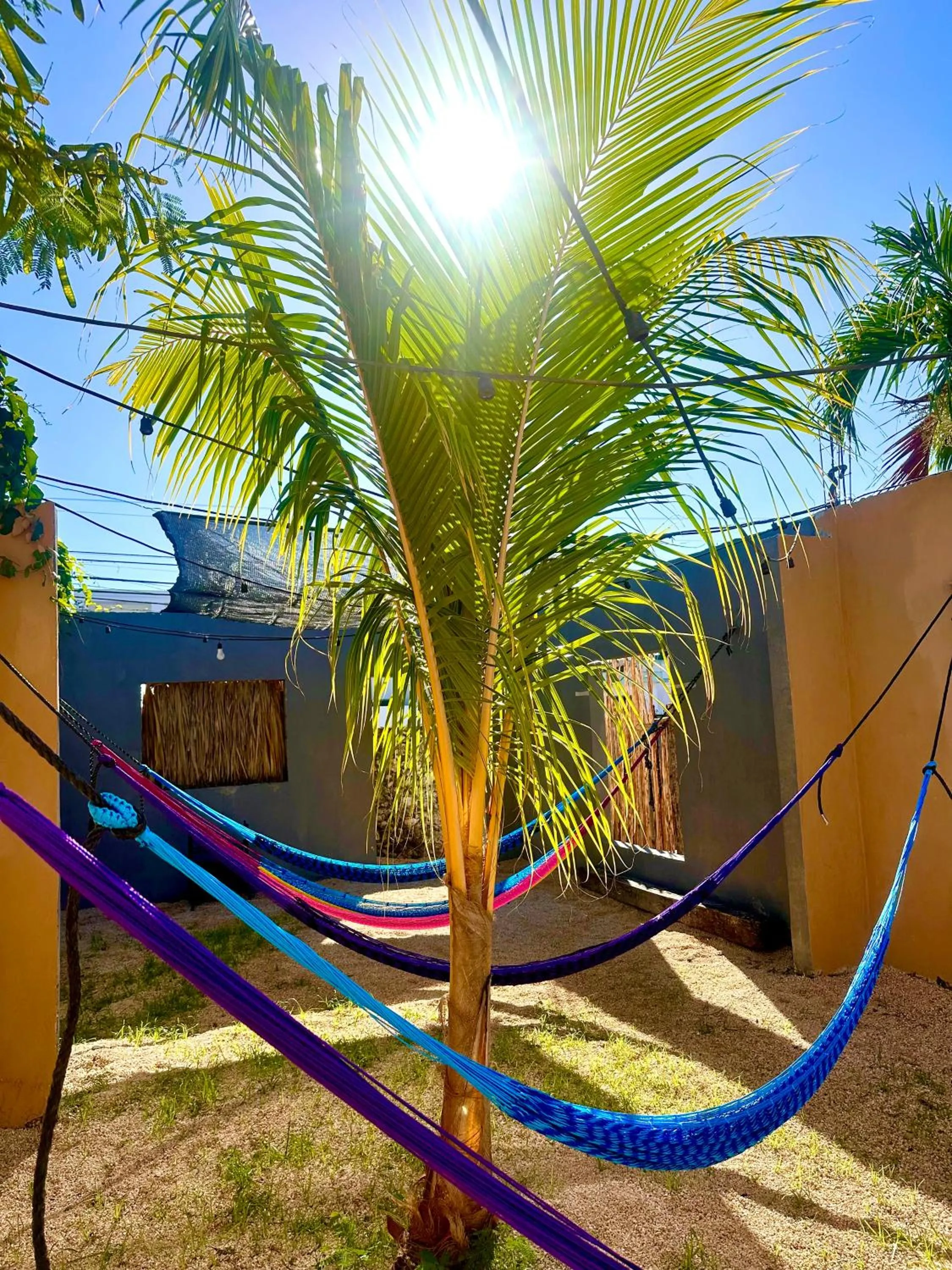 Guacamayas Hostel and Social Laundry