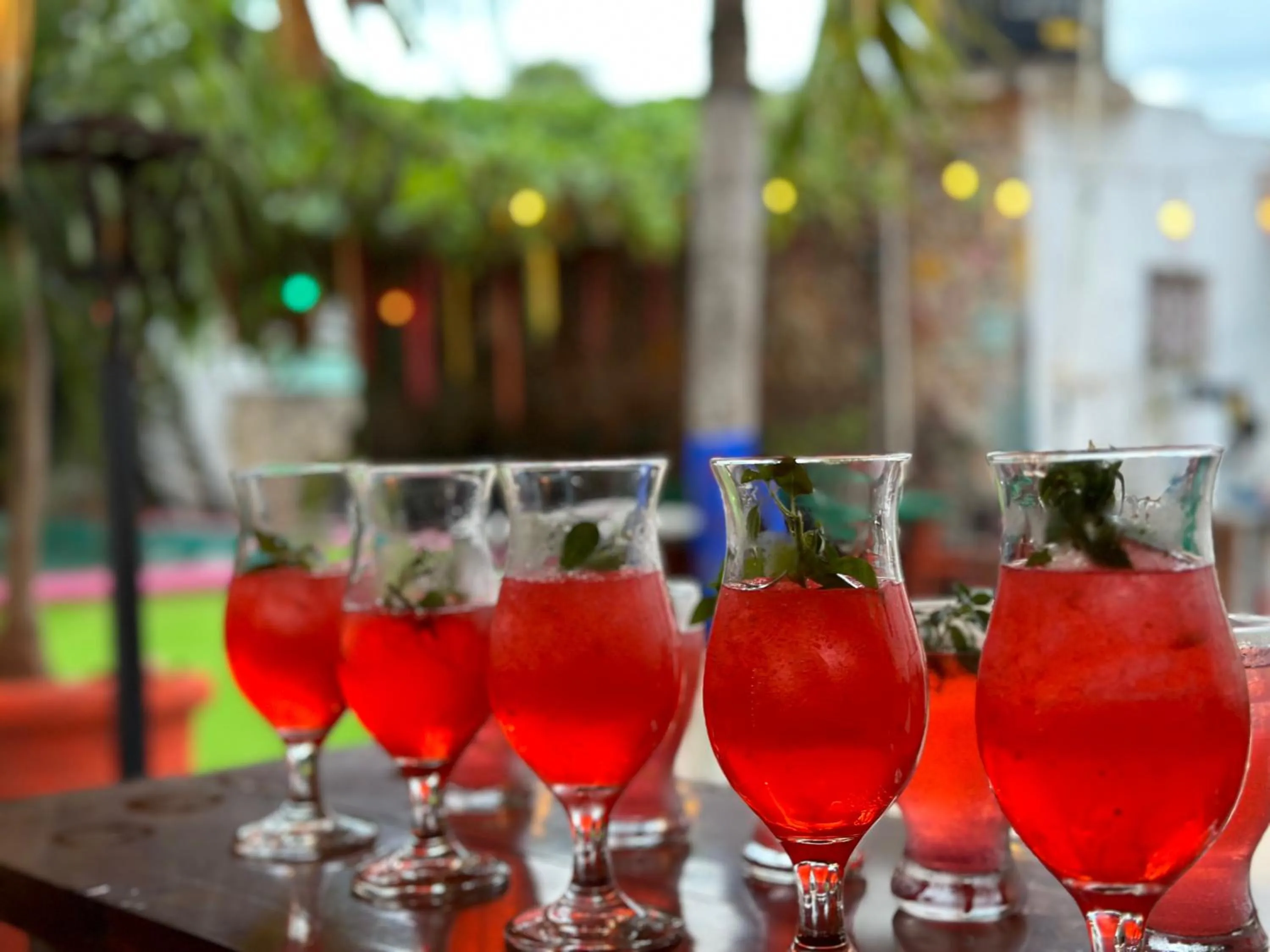 Lounge or bar in Guacamayas Hostel and Social Laundry