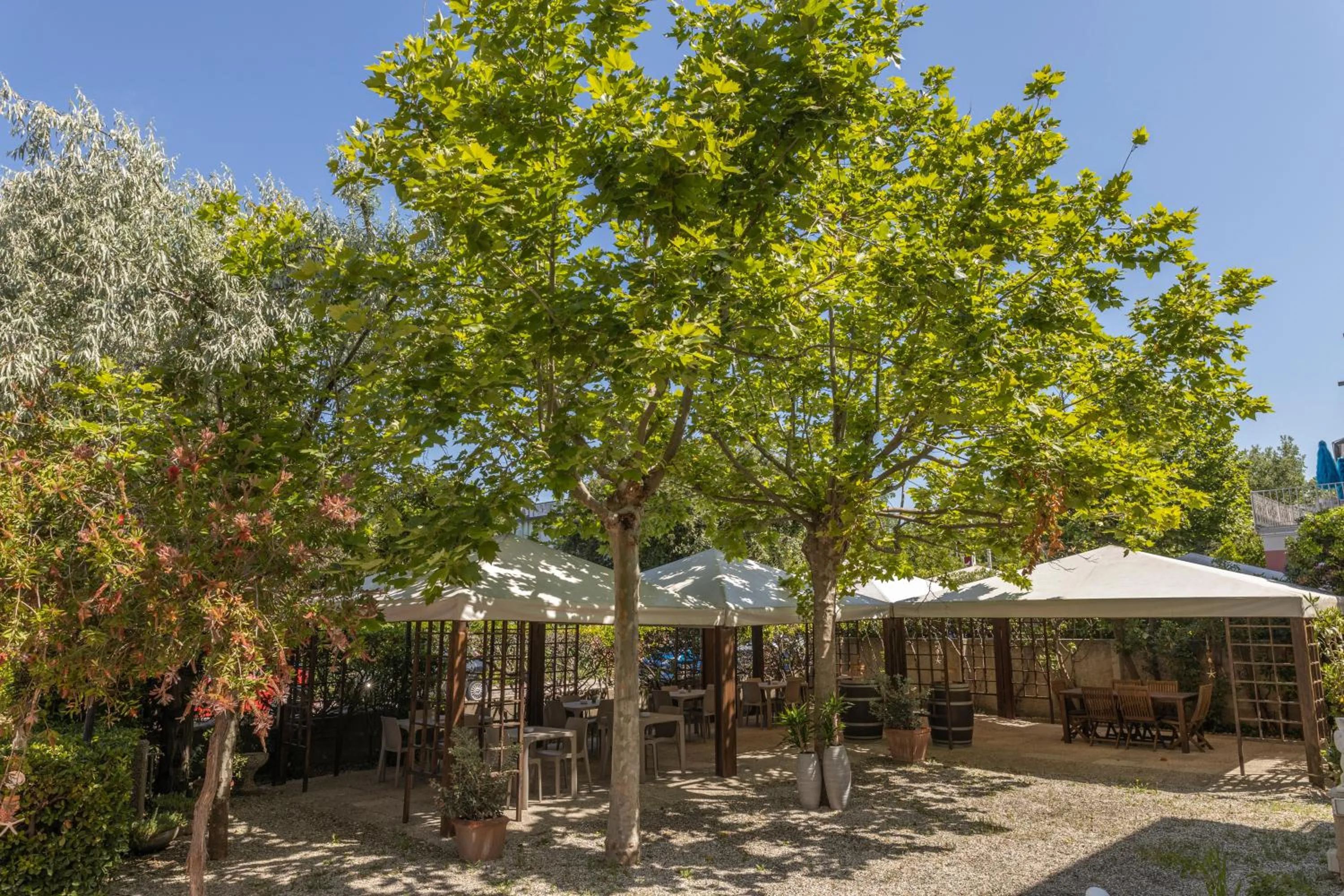Natural landscape in Hotel Quisisana