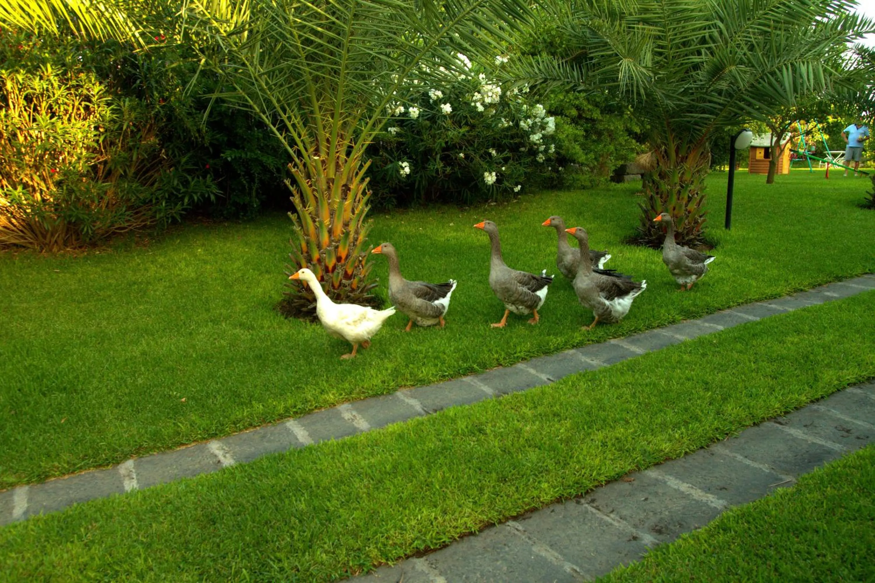 Other in Torre Archirafi Resort