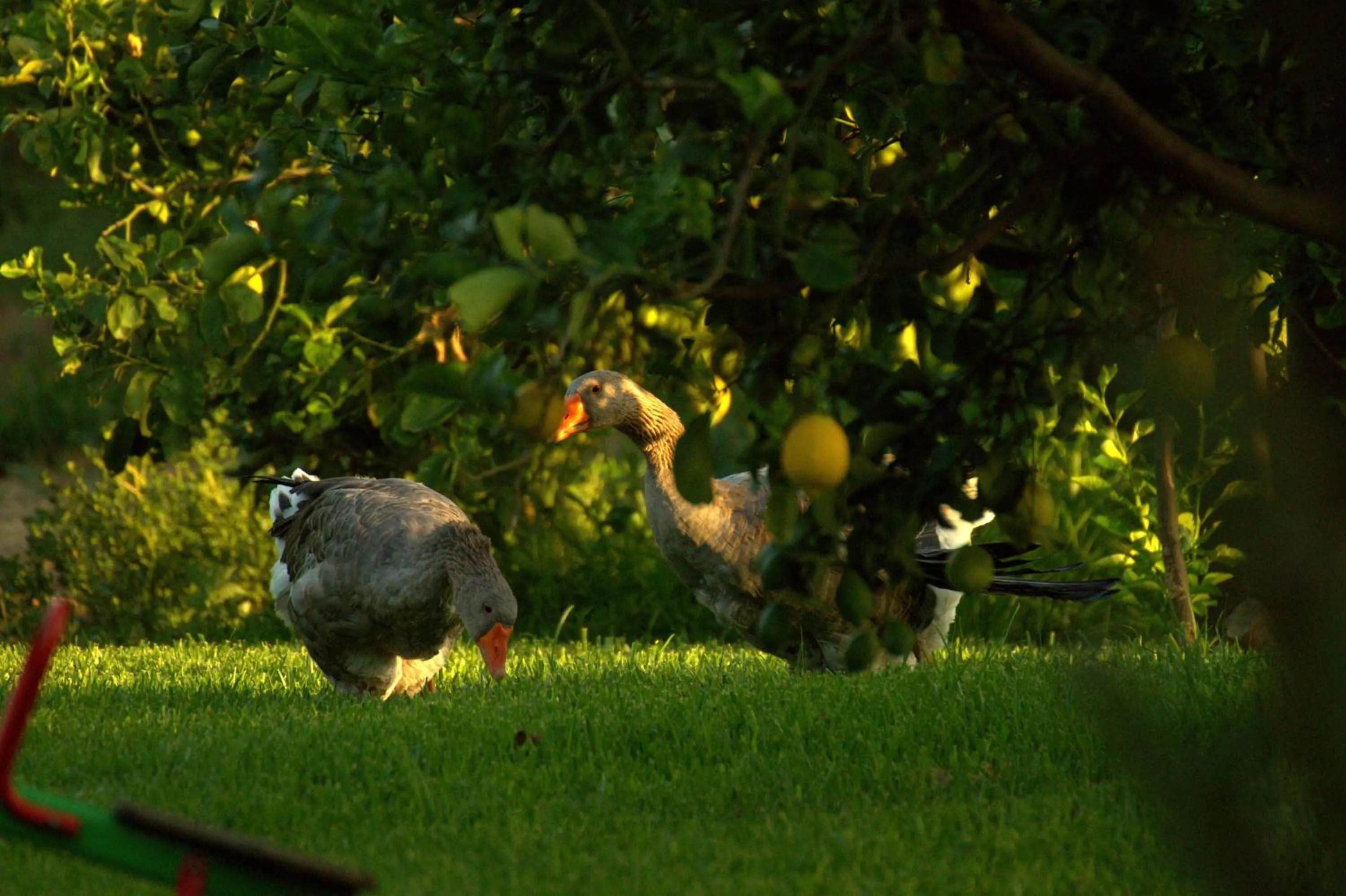 Bed in Torre Archirafi Resort