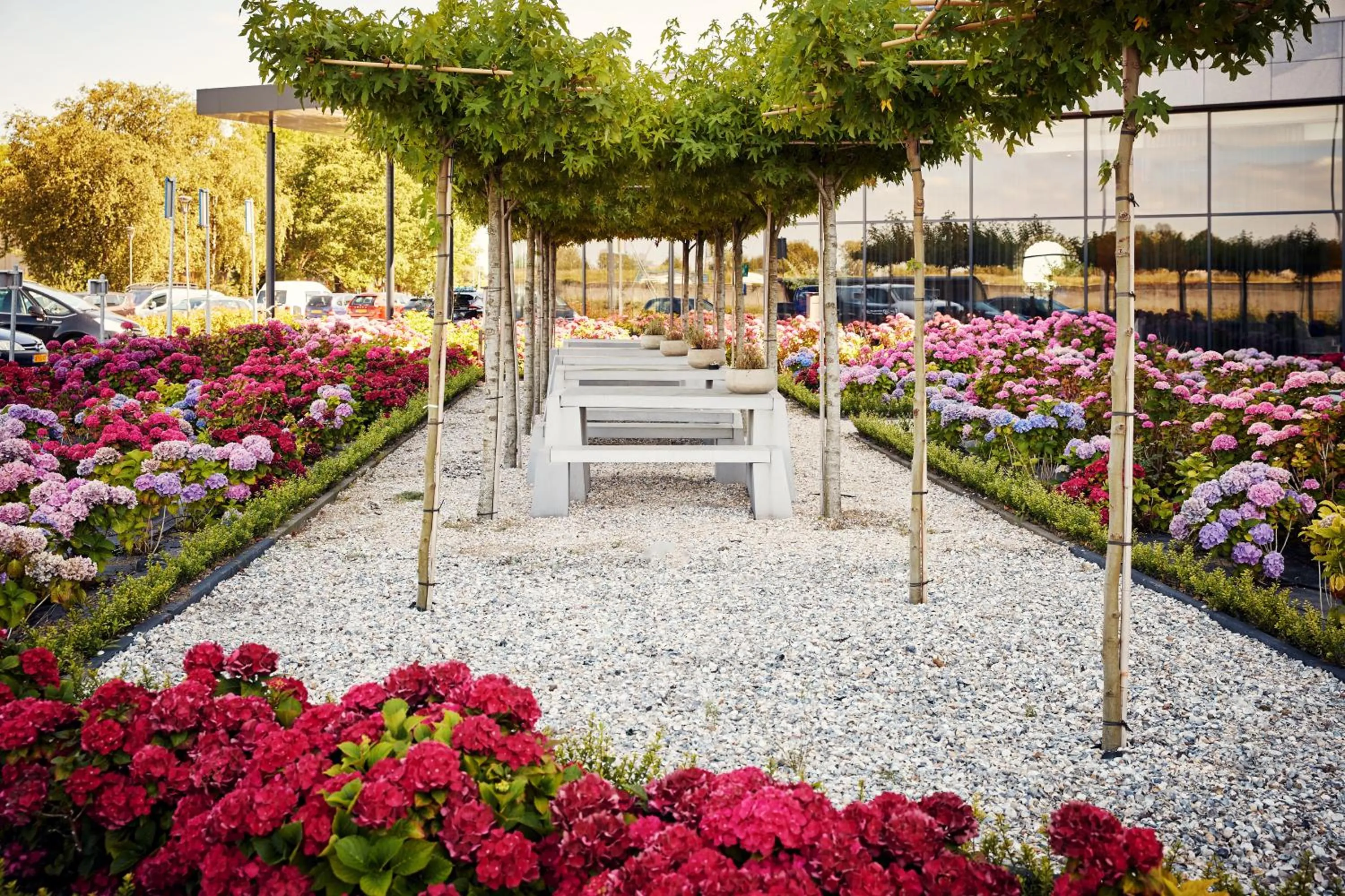 Garden view in Van der Valk Hotel Tiel